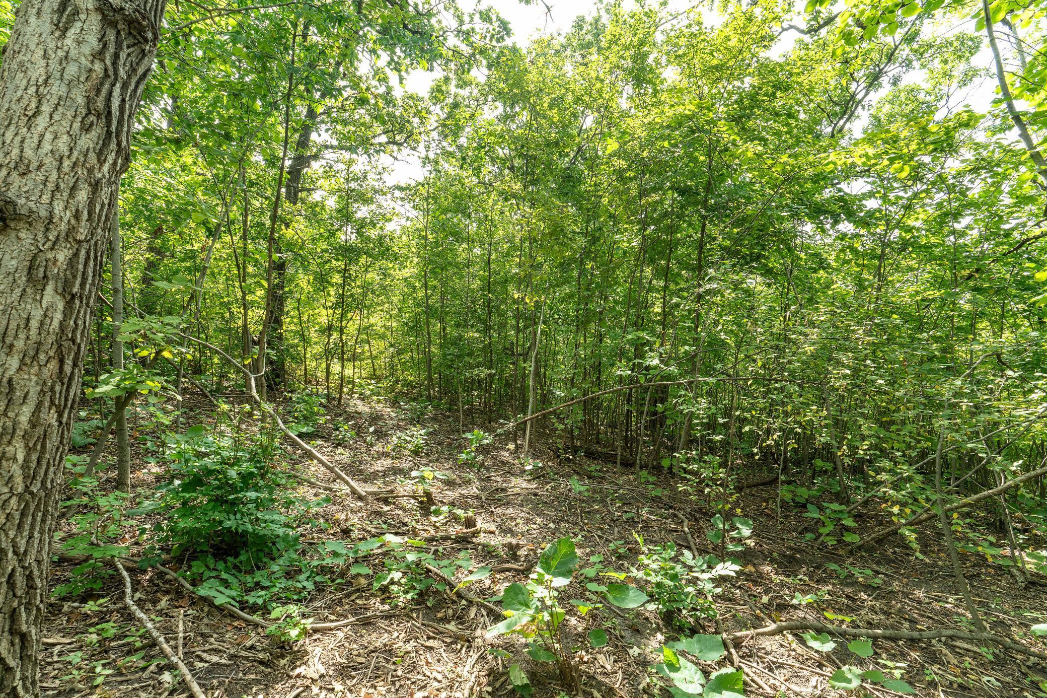 Lot A 202nd Avenue