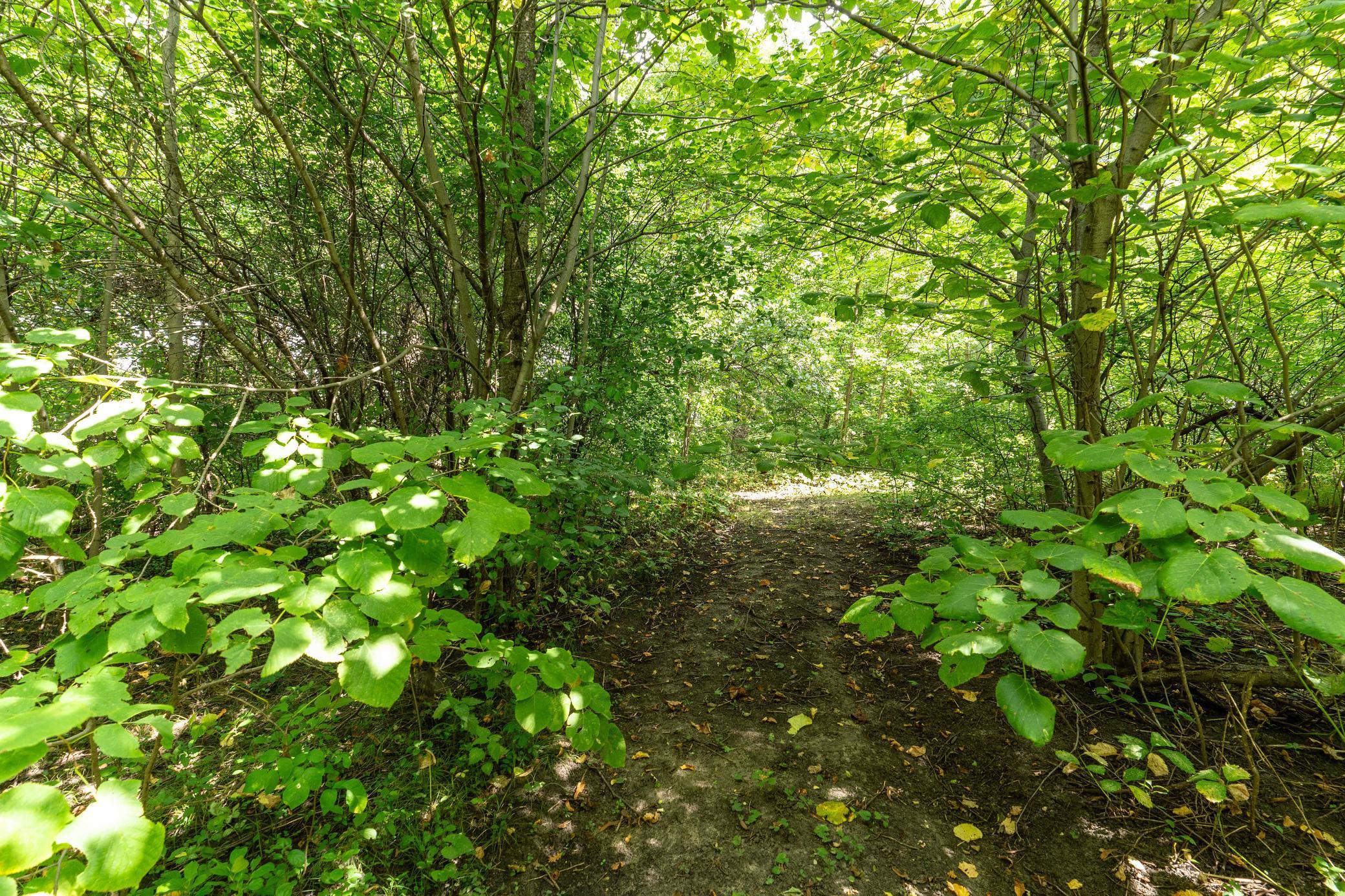 Lot A 202nd Avenue