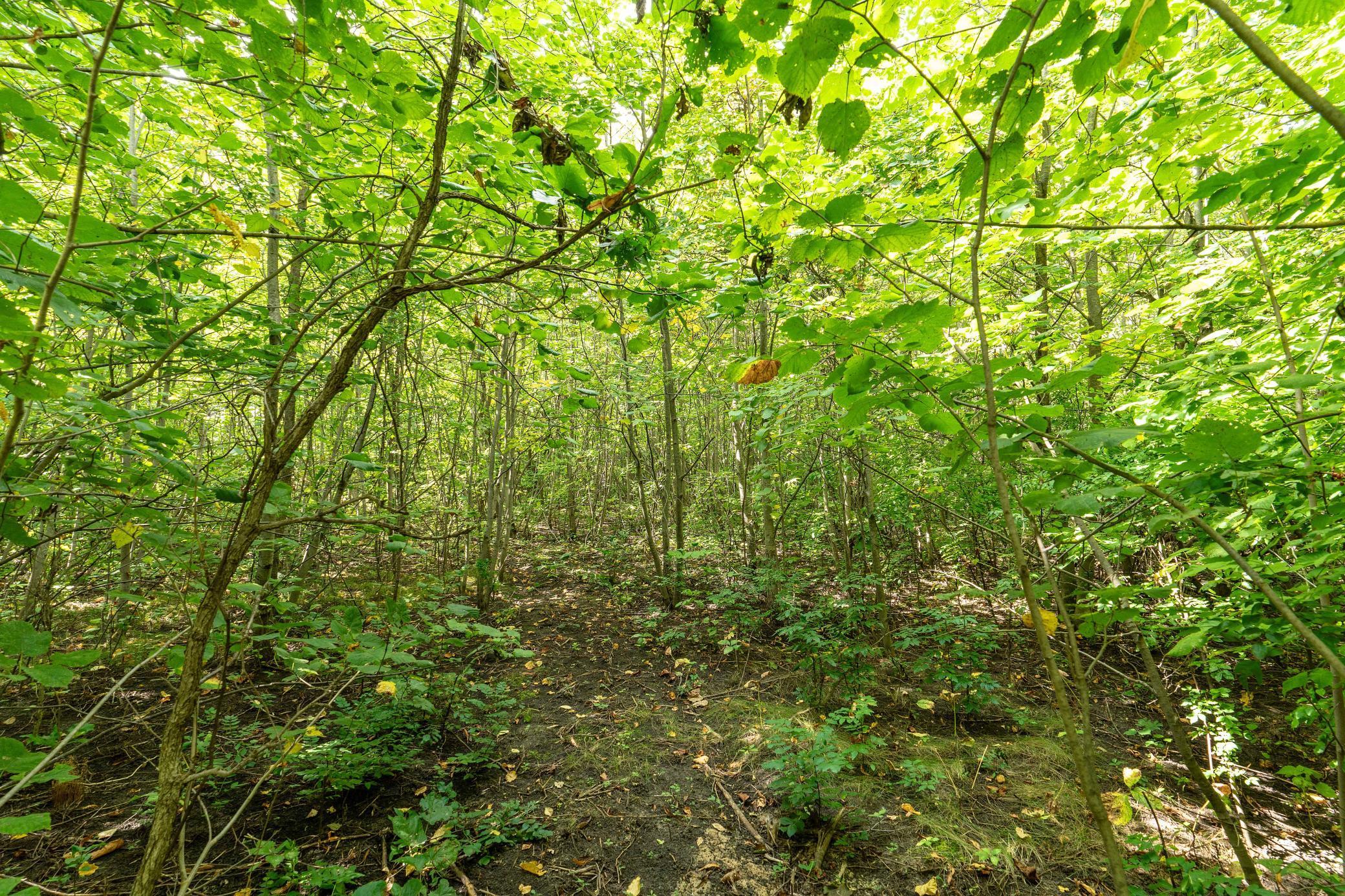 Lot A 202nd Avenue