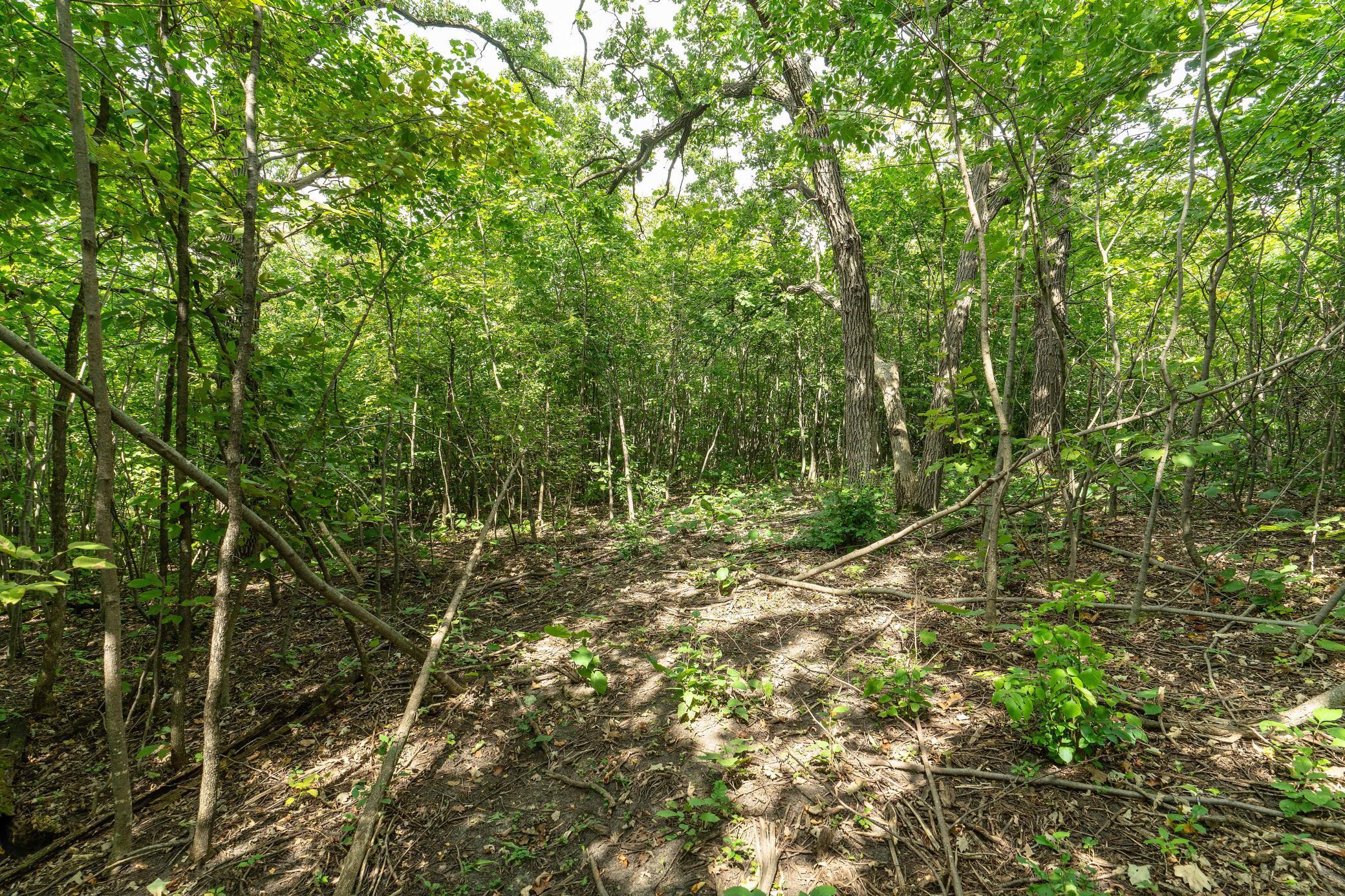 Lot A 202nd Avenue