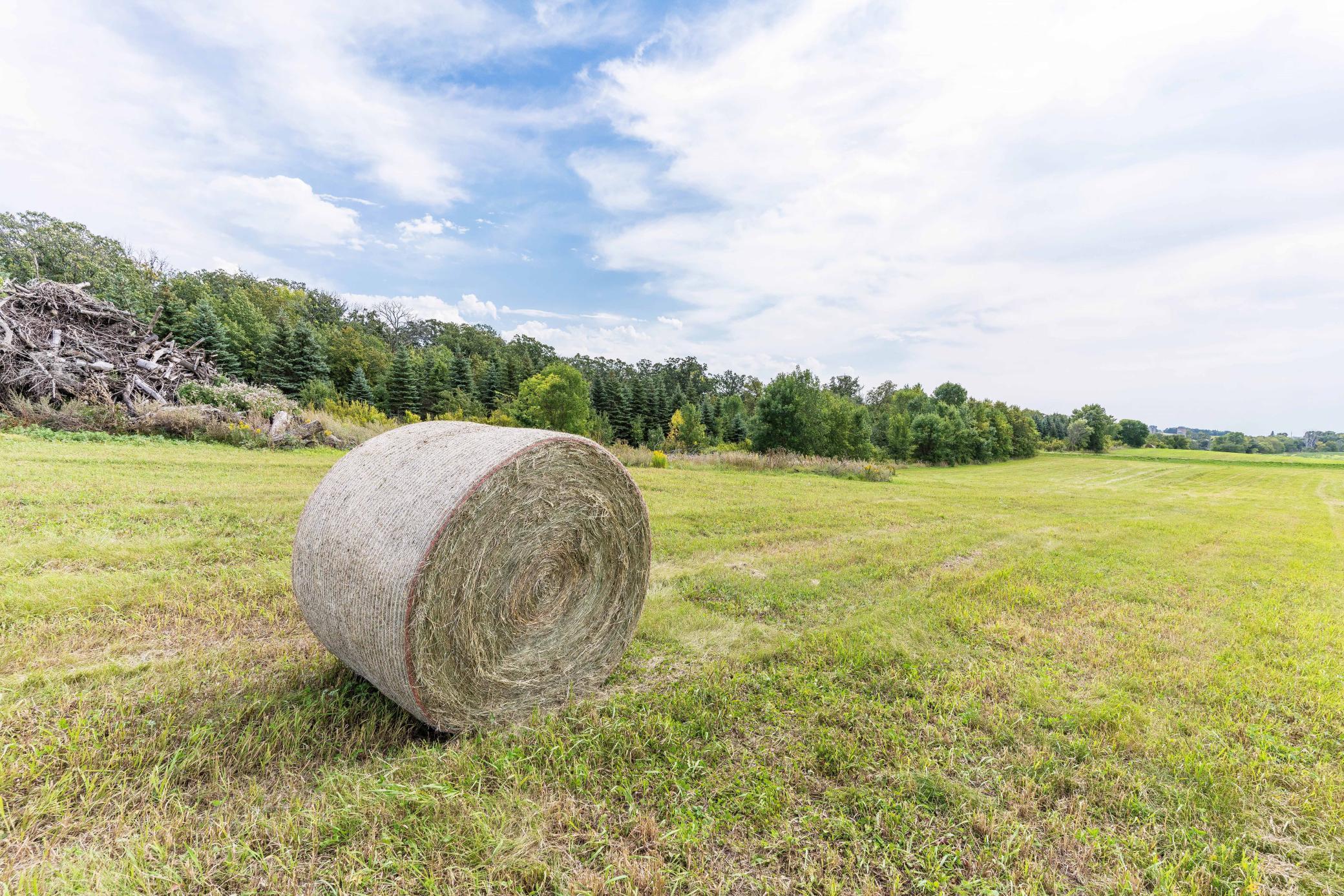 Lot A 202nd Avenue