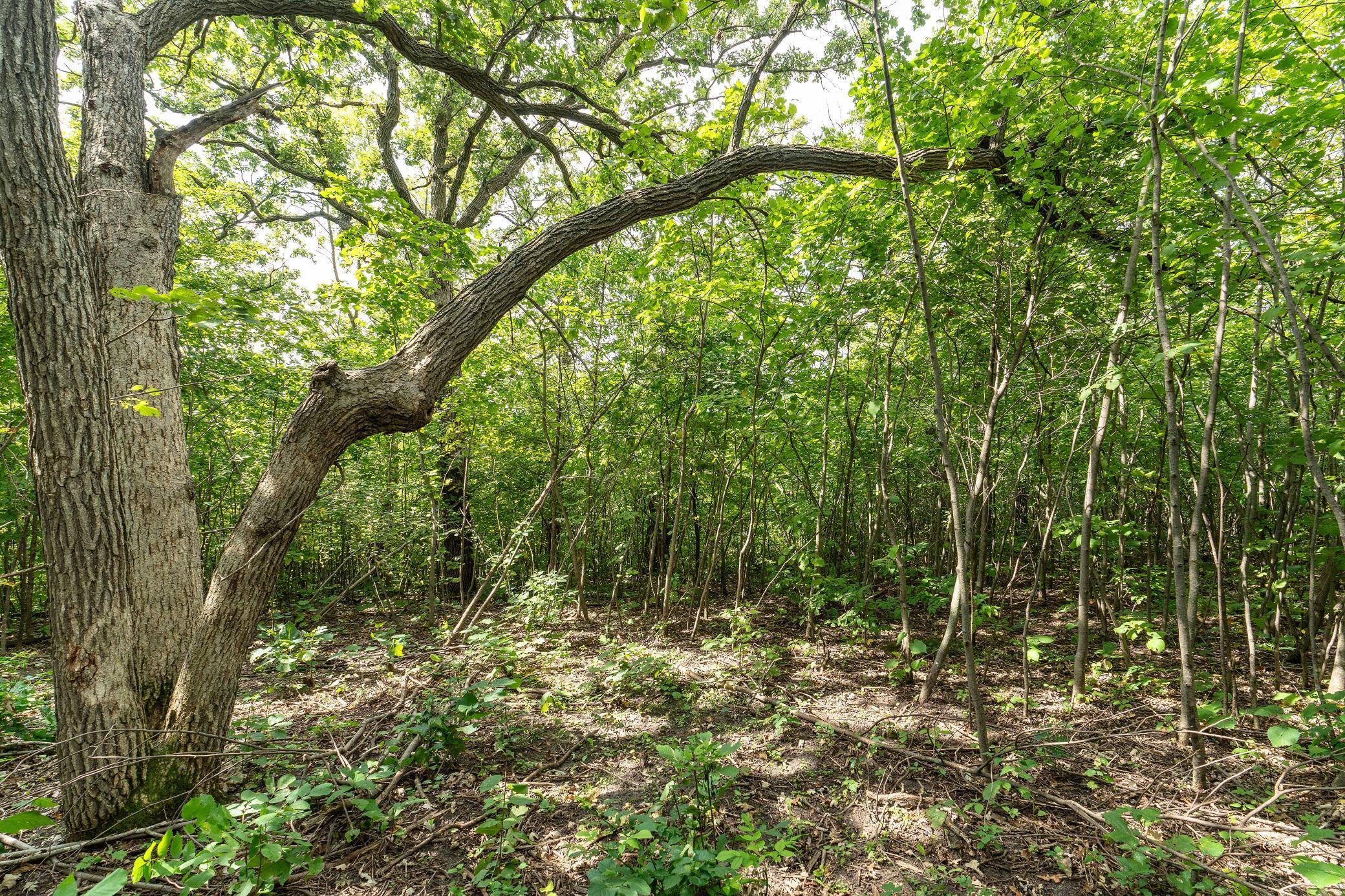 Lot A 202nd Avenue