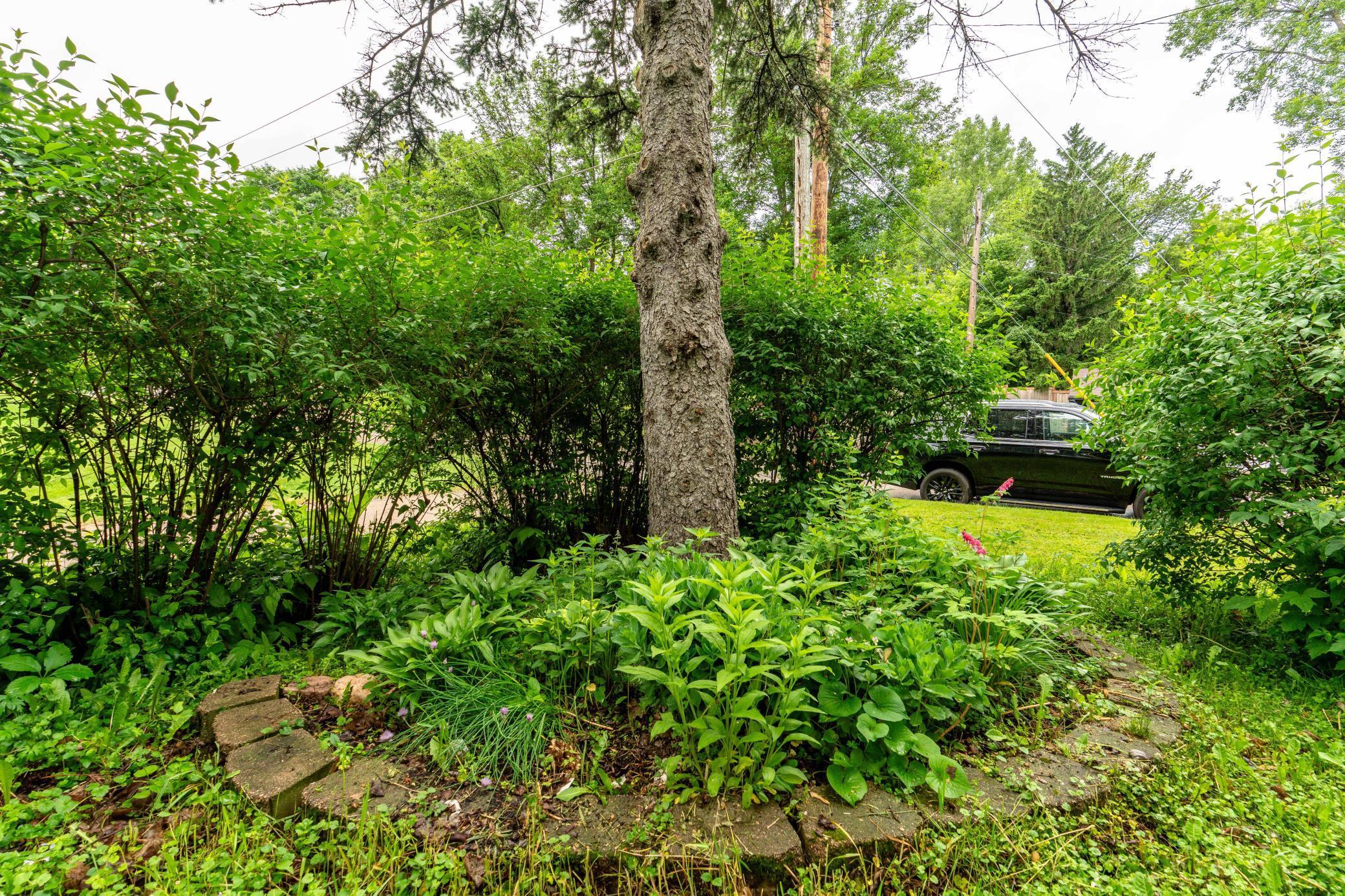 327 W Channing Avenue