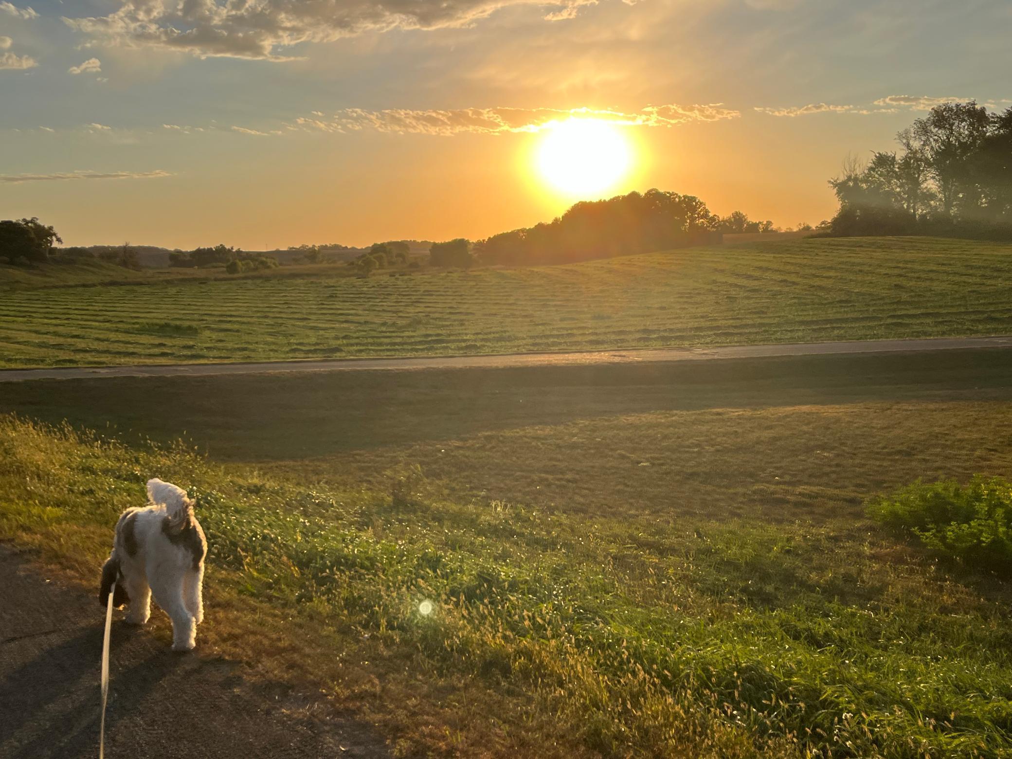 21029 Elks Point Road