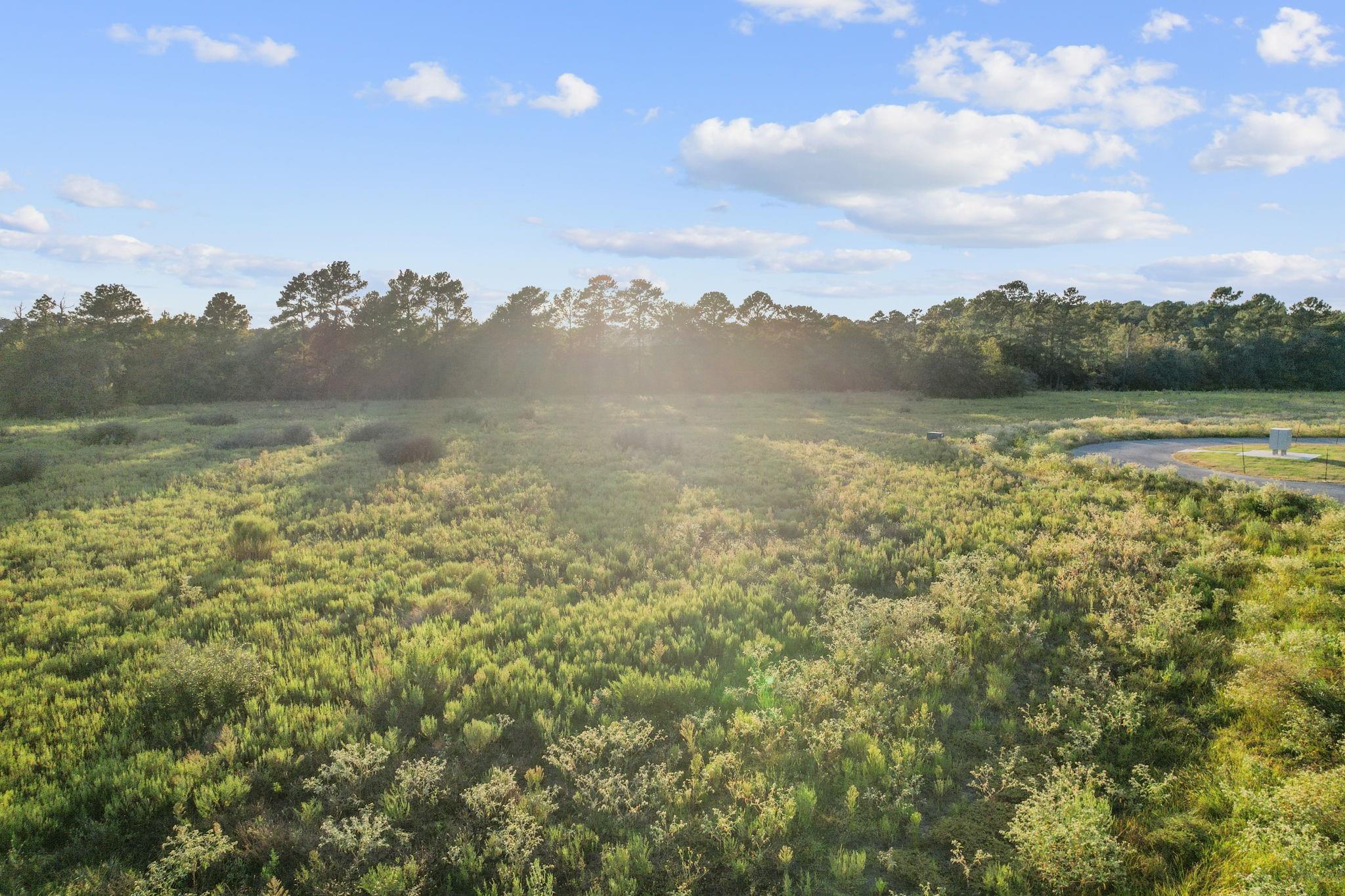 9548 Cedar Creek Lane