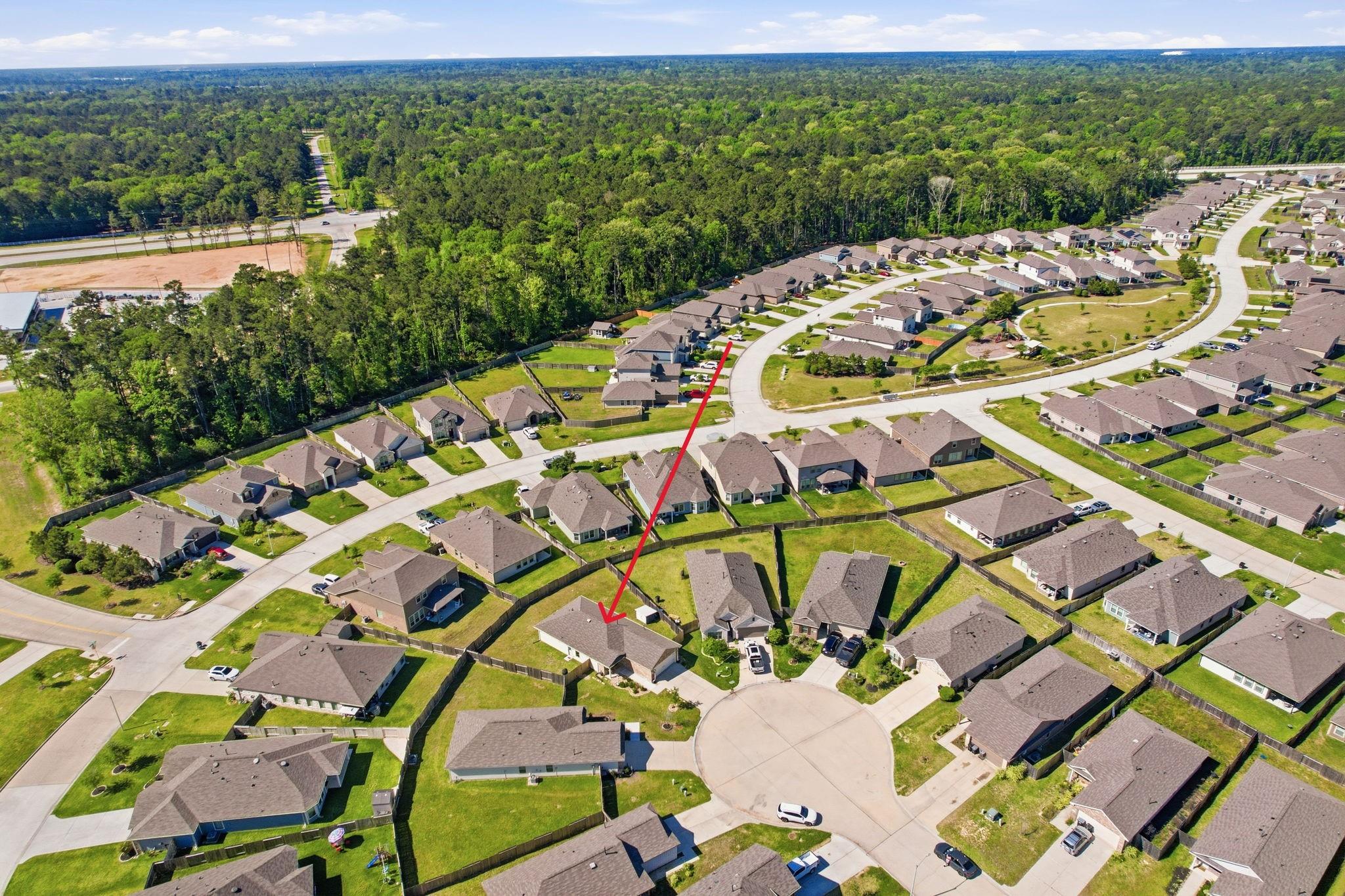 17635 Noble Cypress Court
