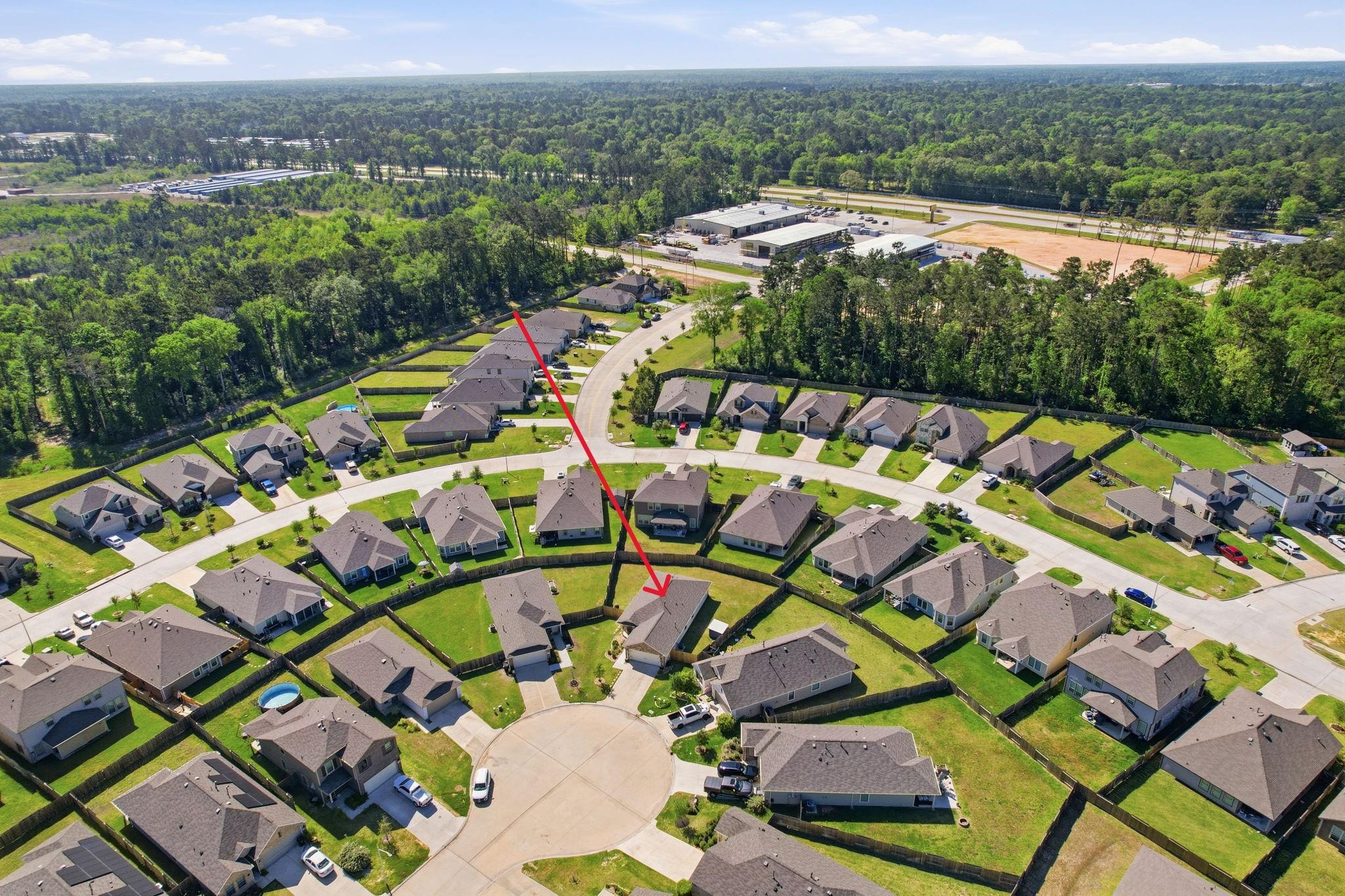 17635 Noble Cypress Court