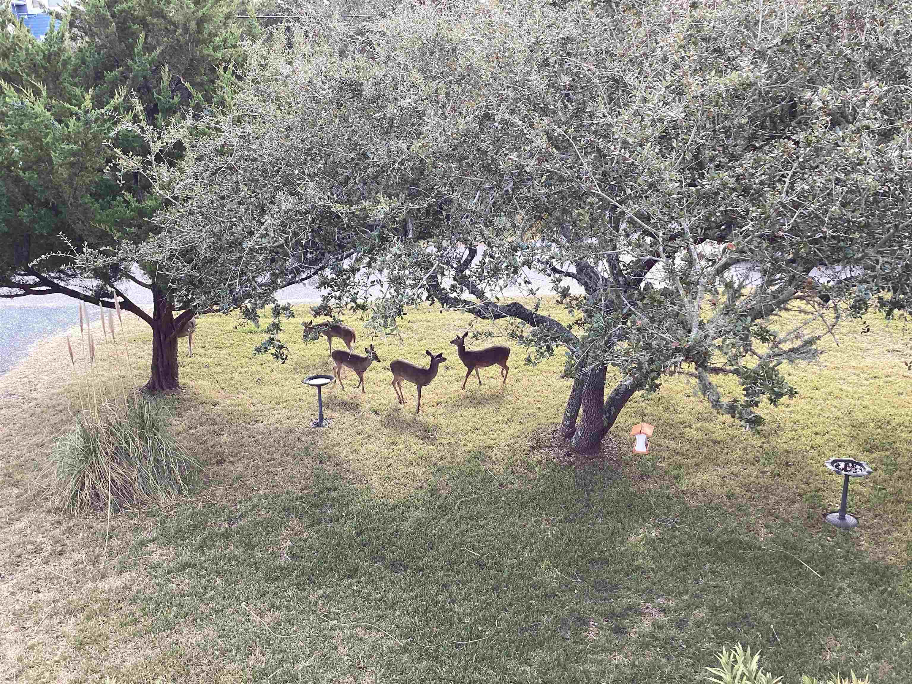 46070 Cape Point Way Lot 50