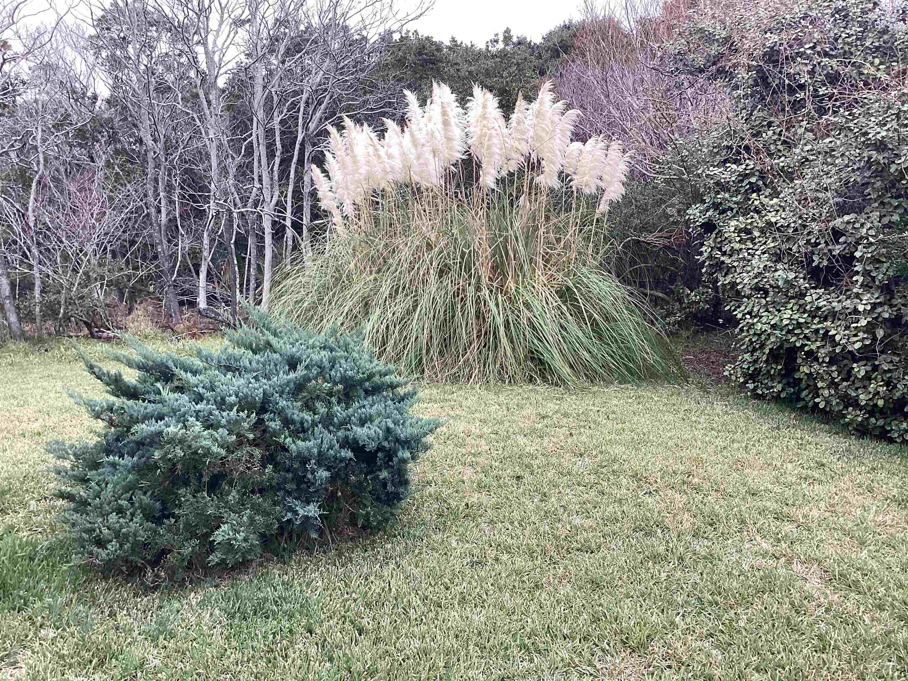 46070 Cape Point Way Lot 50