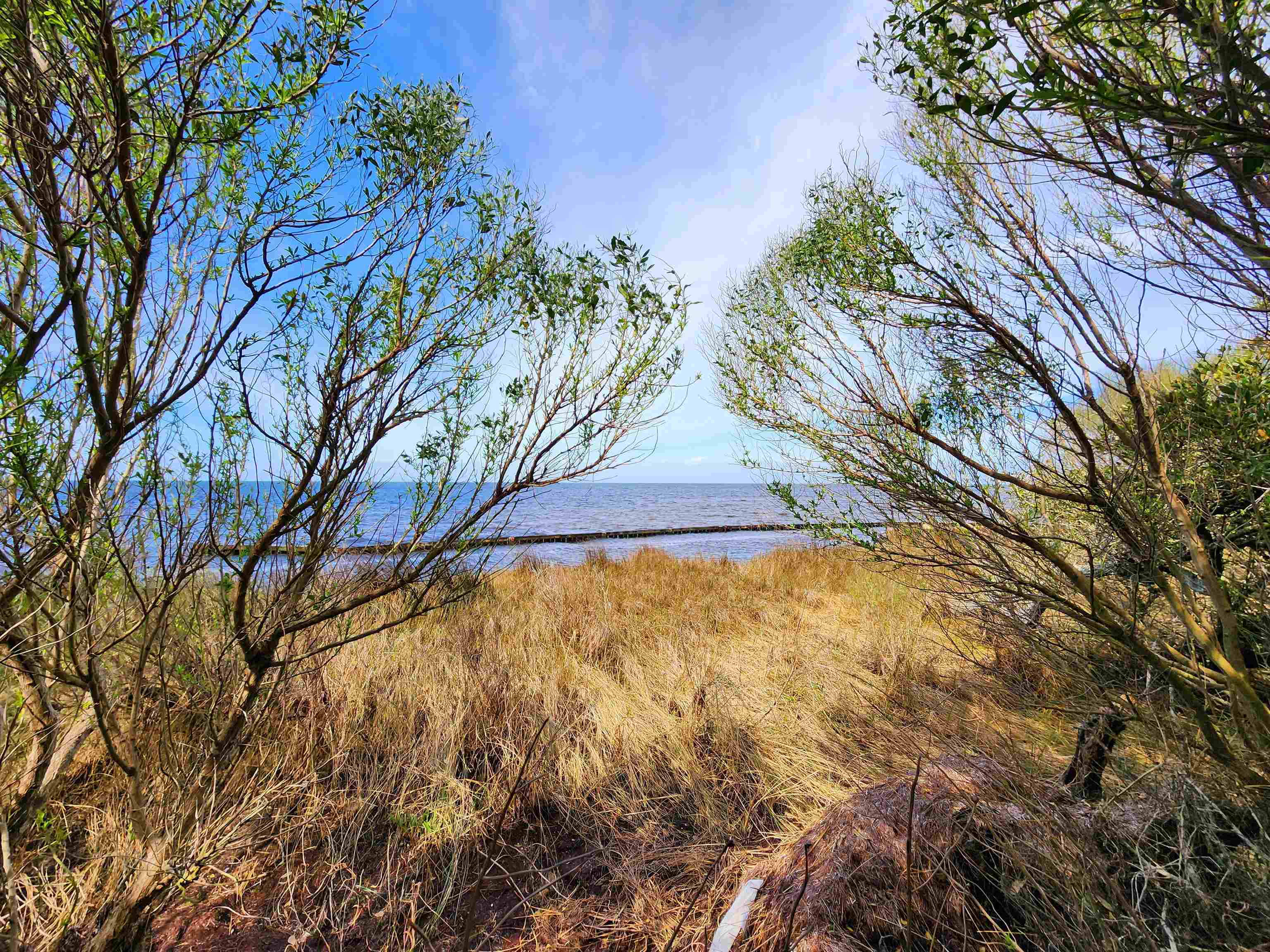 50096 Live Oak Lane Lot 4