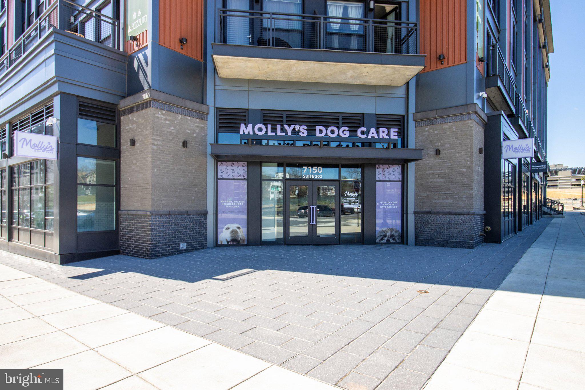 7175 12TH STREET NW 302