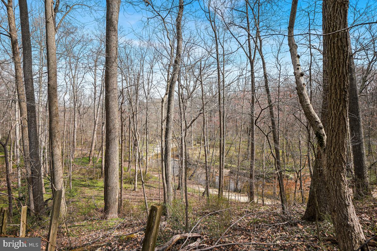 12211 Remington Dr