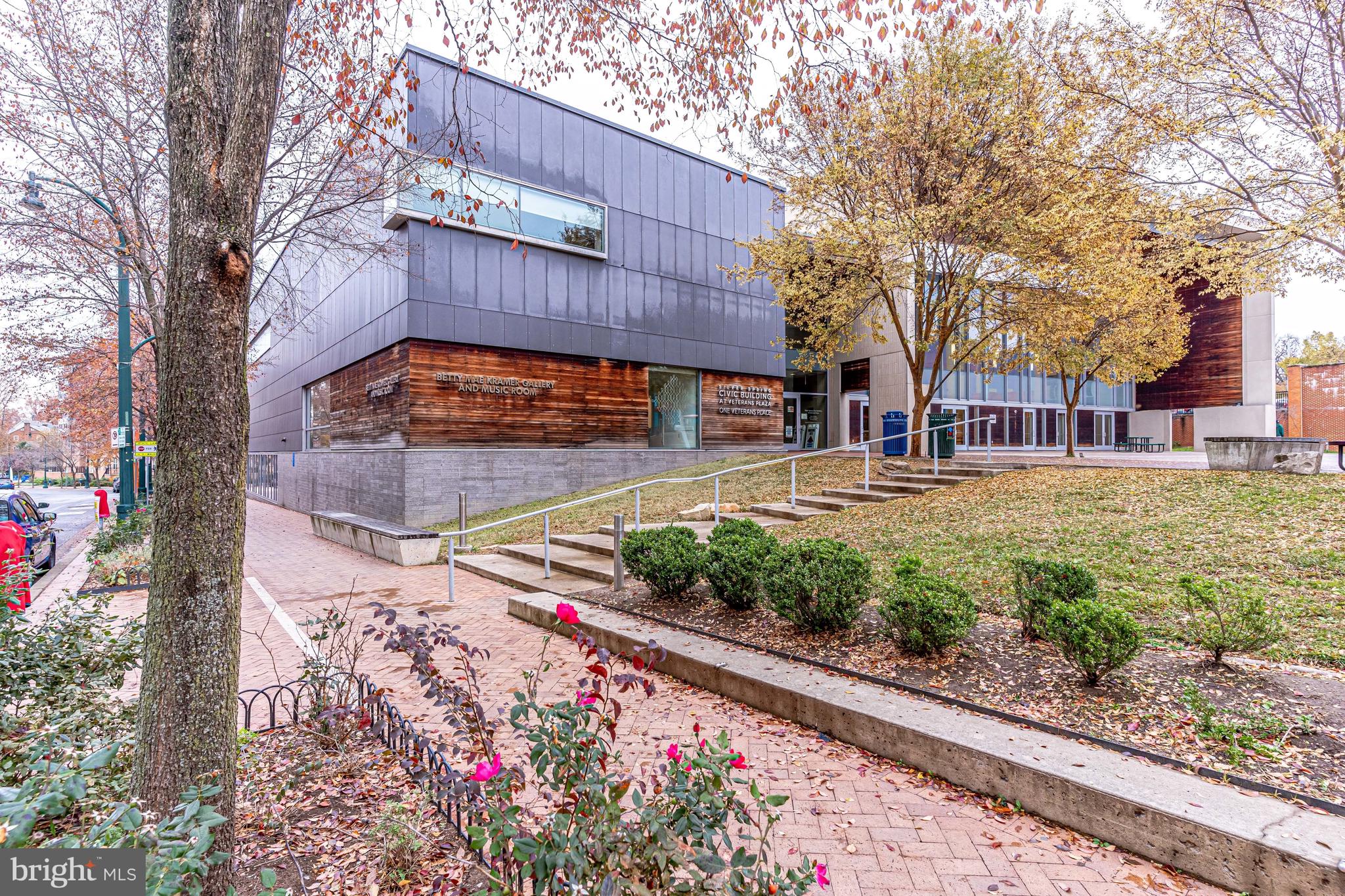 930 WAYNE AVENUE 1009