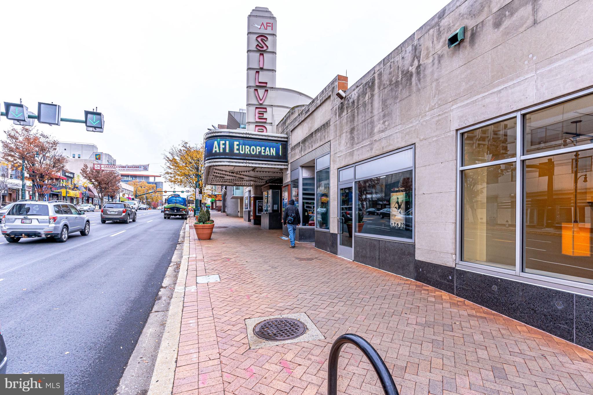 930 WAYNE AVENUE 1009