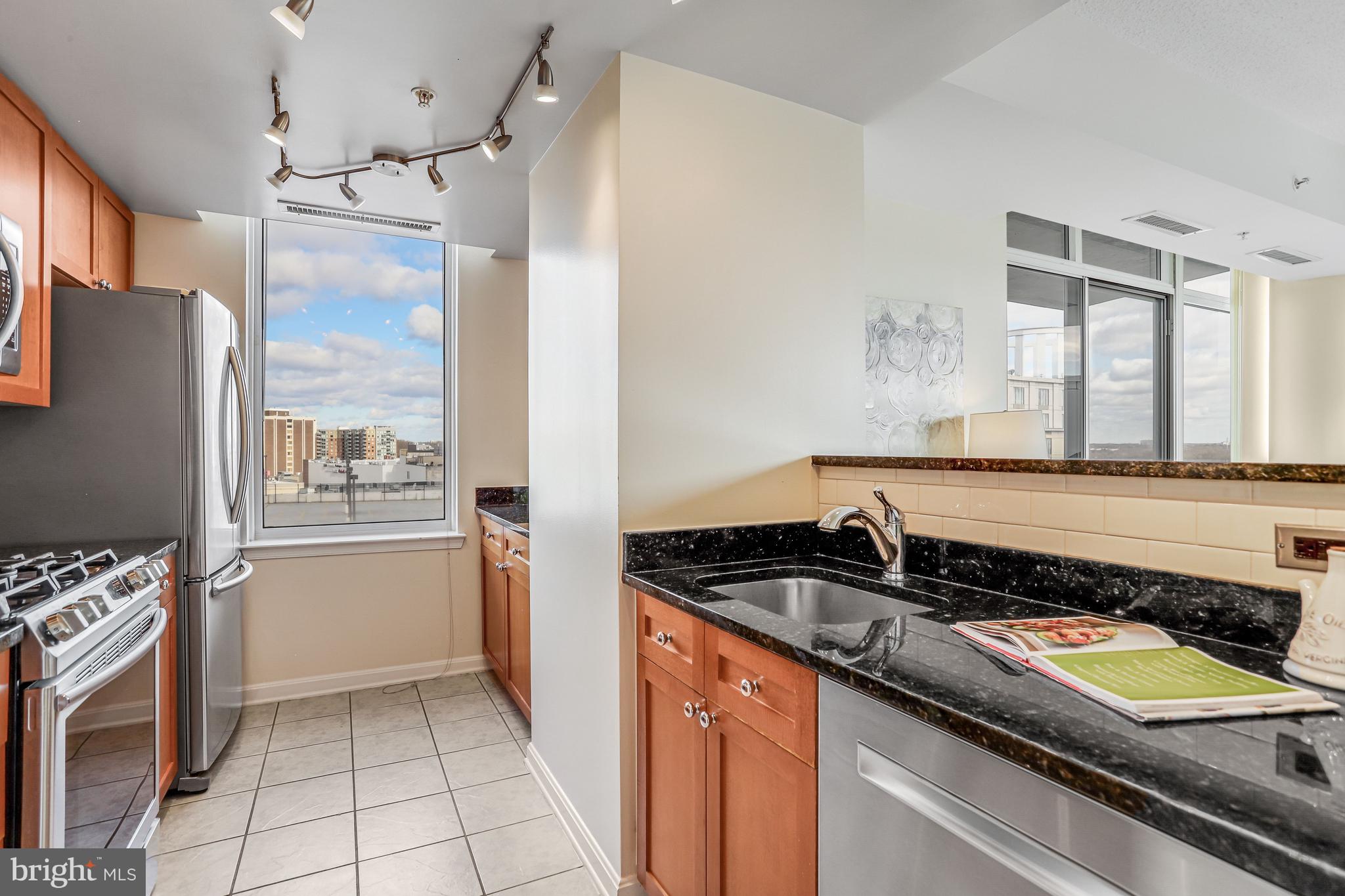 930 WAYNE AVENUE 1009