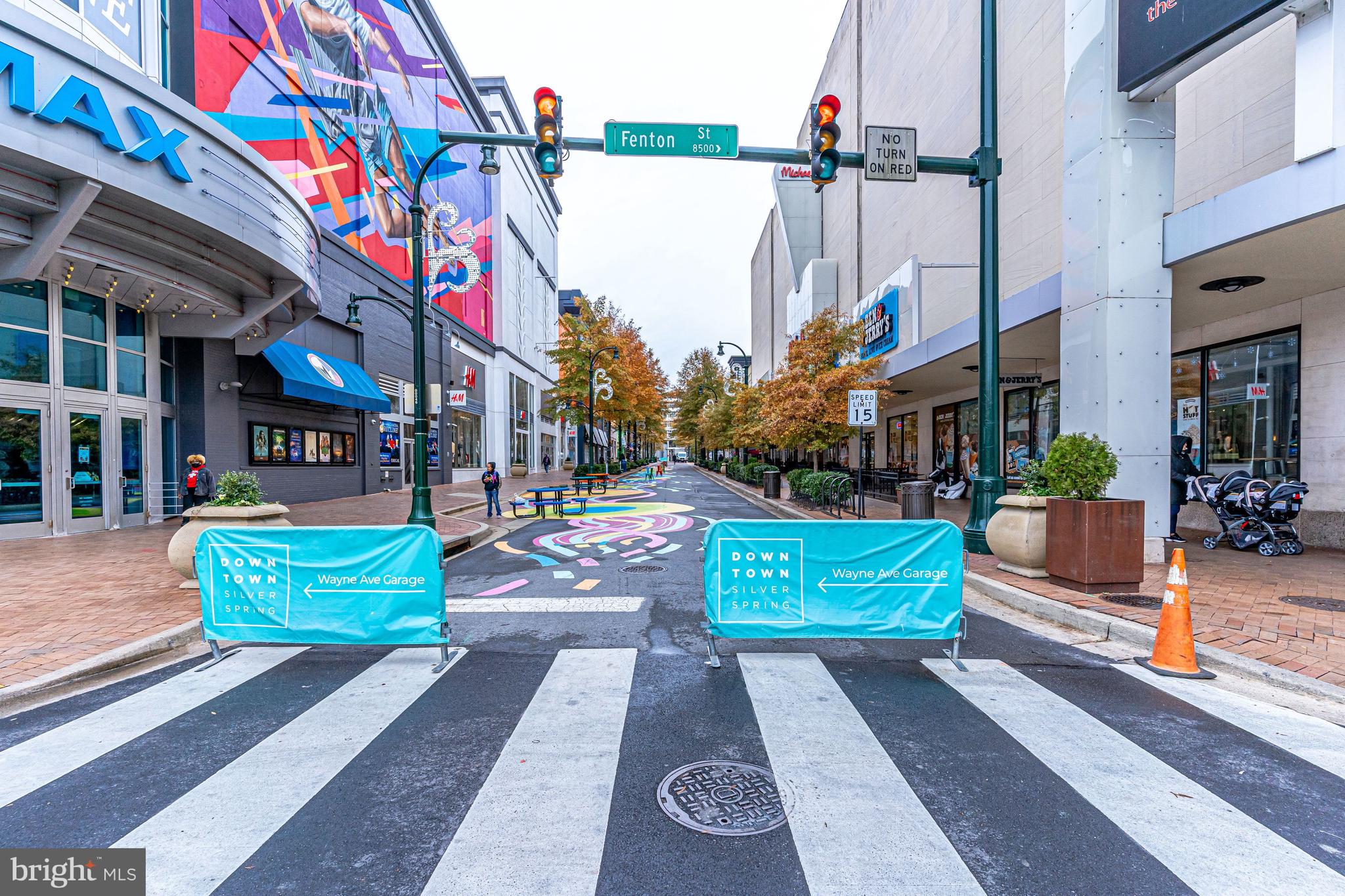 930 WAYNE AVENUE 1009