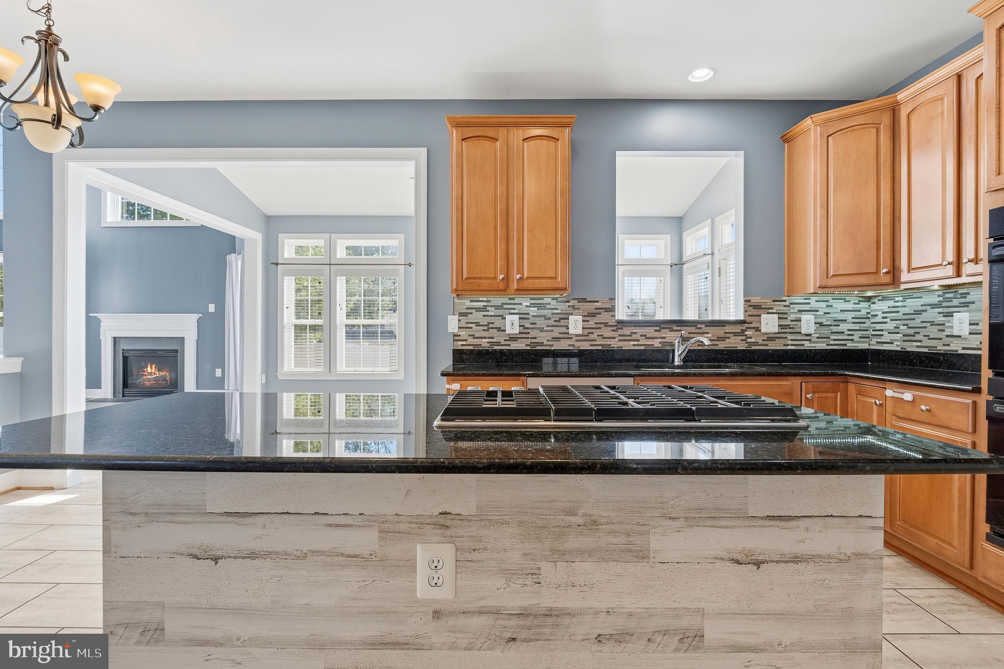 13301 CORMORANT PLACE