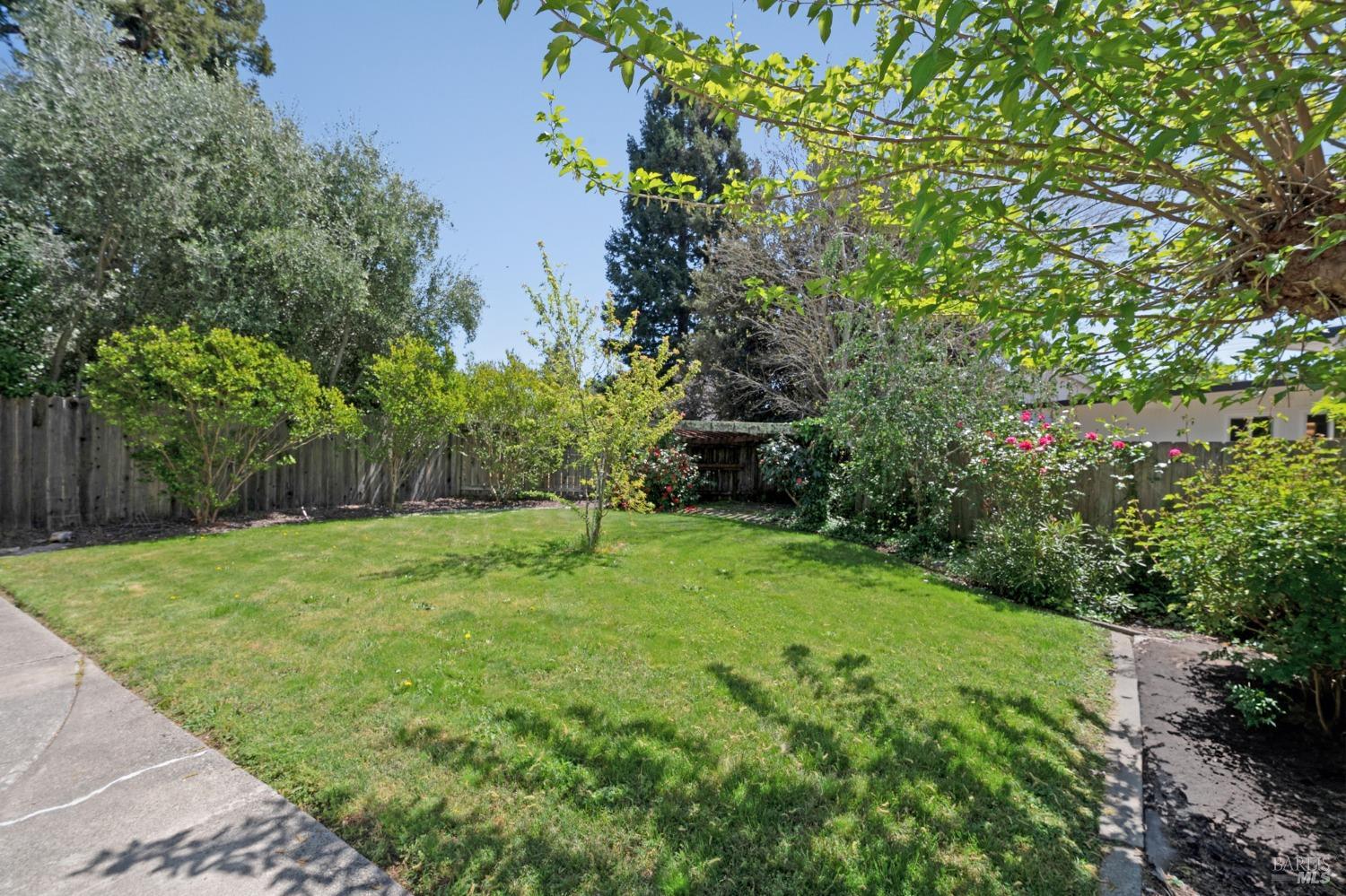 2432 Compadre Dr