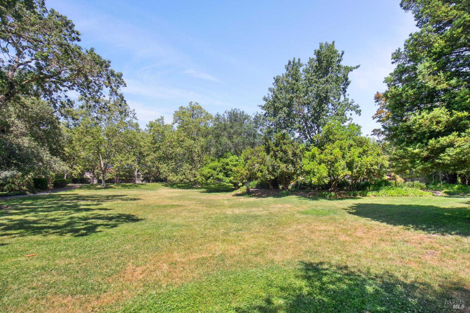 229 Buena Tierra Way