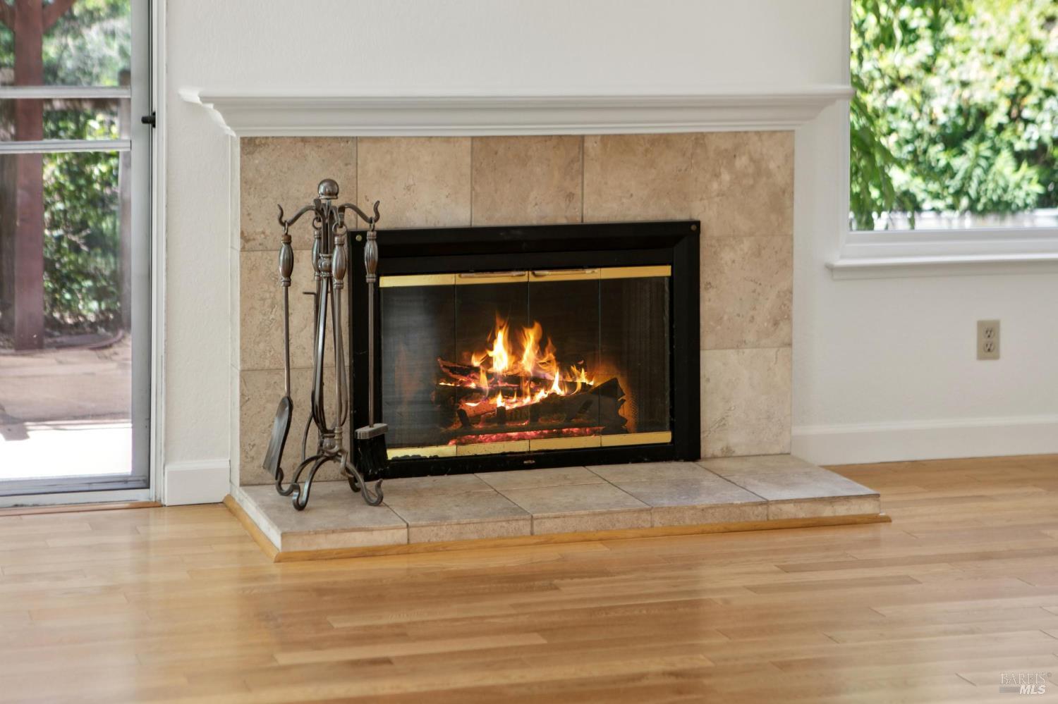 229 Buena Tierra Way