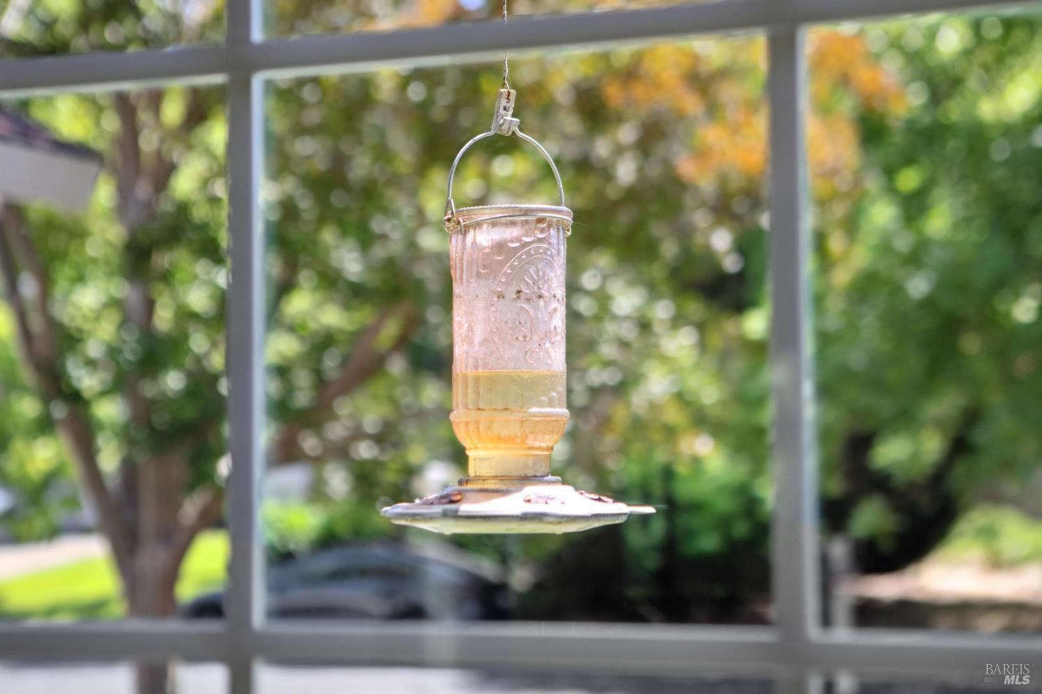 229 Buena Tierra Way