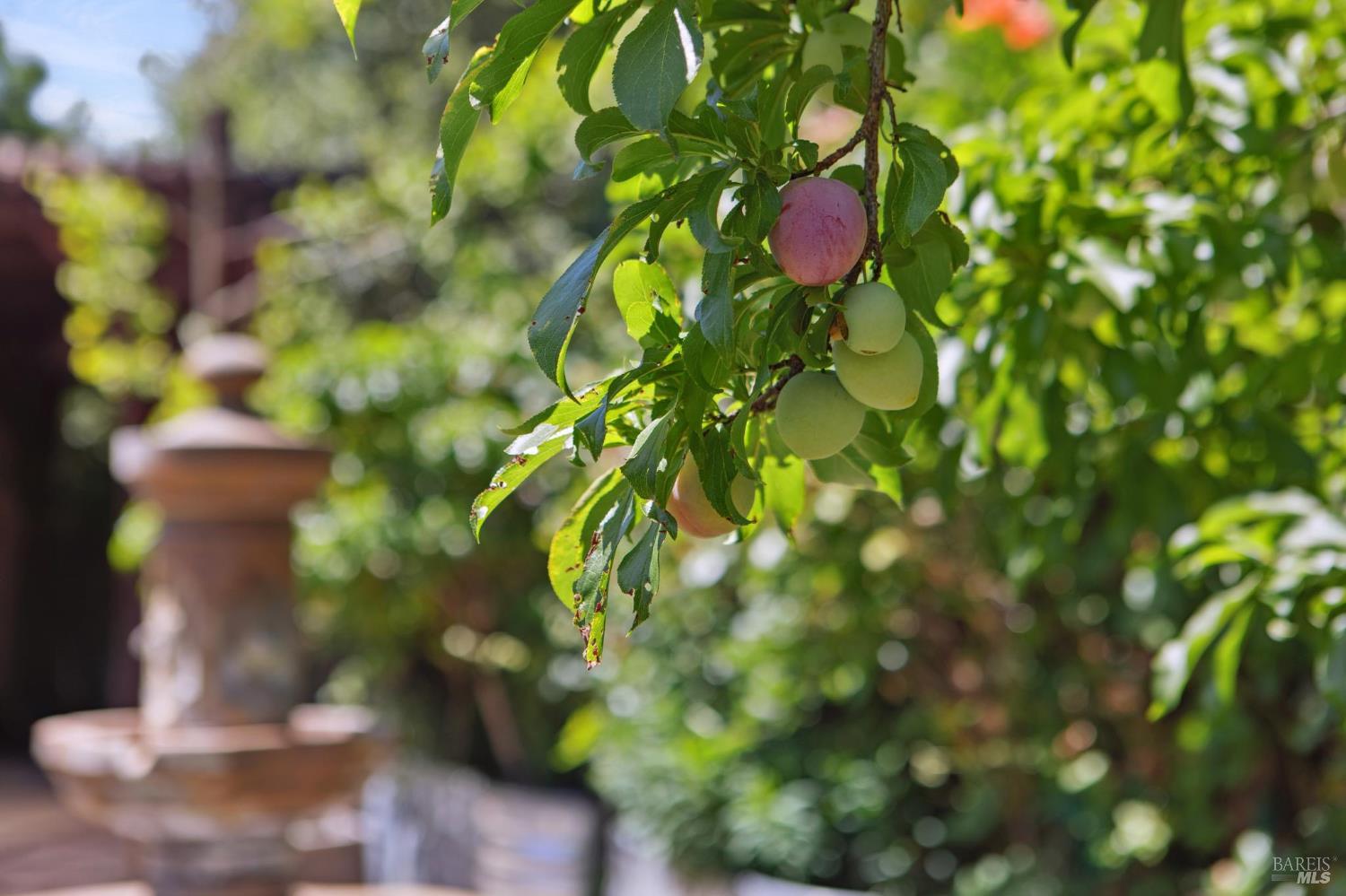 229 Buena Tierra Way