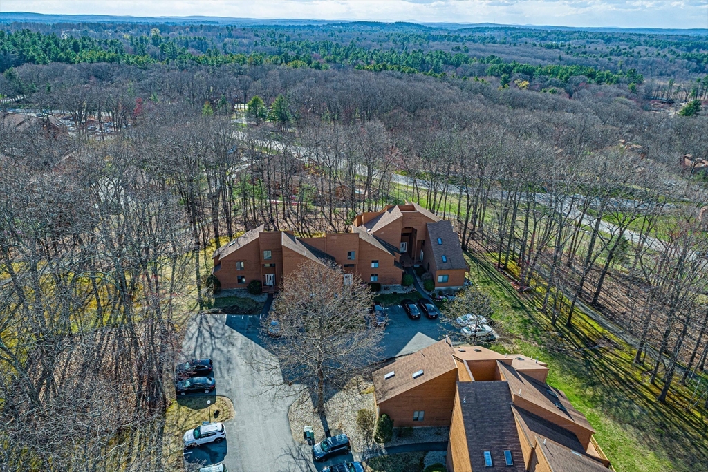 41 Perkins Court # 41