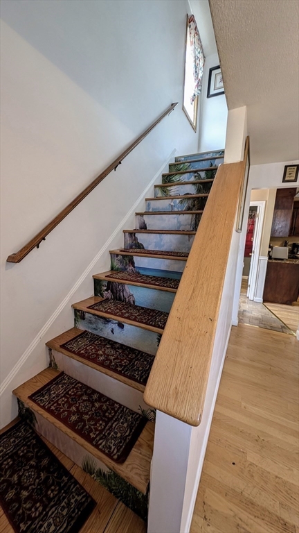 63 Wilson St