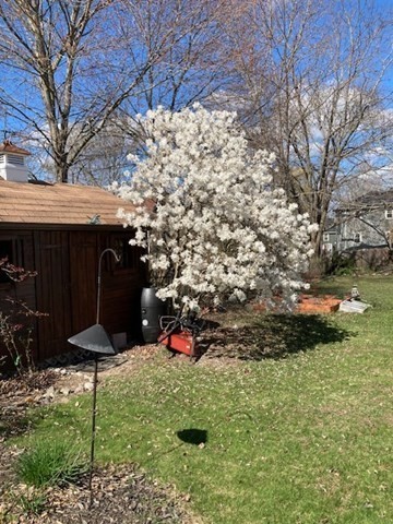 8 Christie Dr # 1