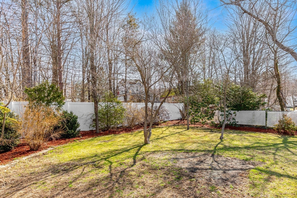 18 Elm Park