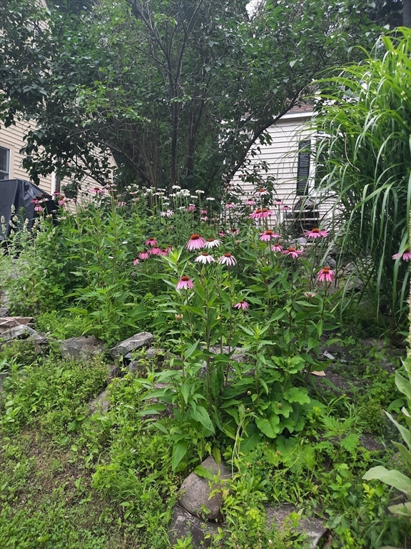 137 Indian Hill St
