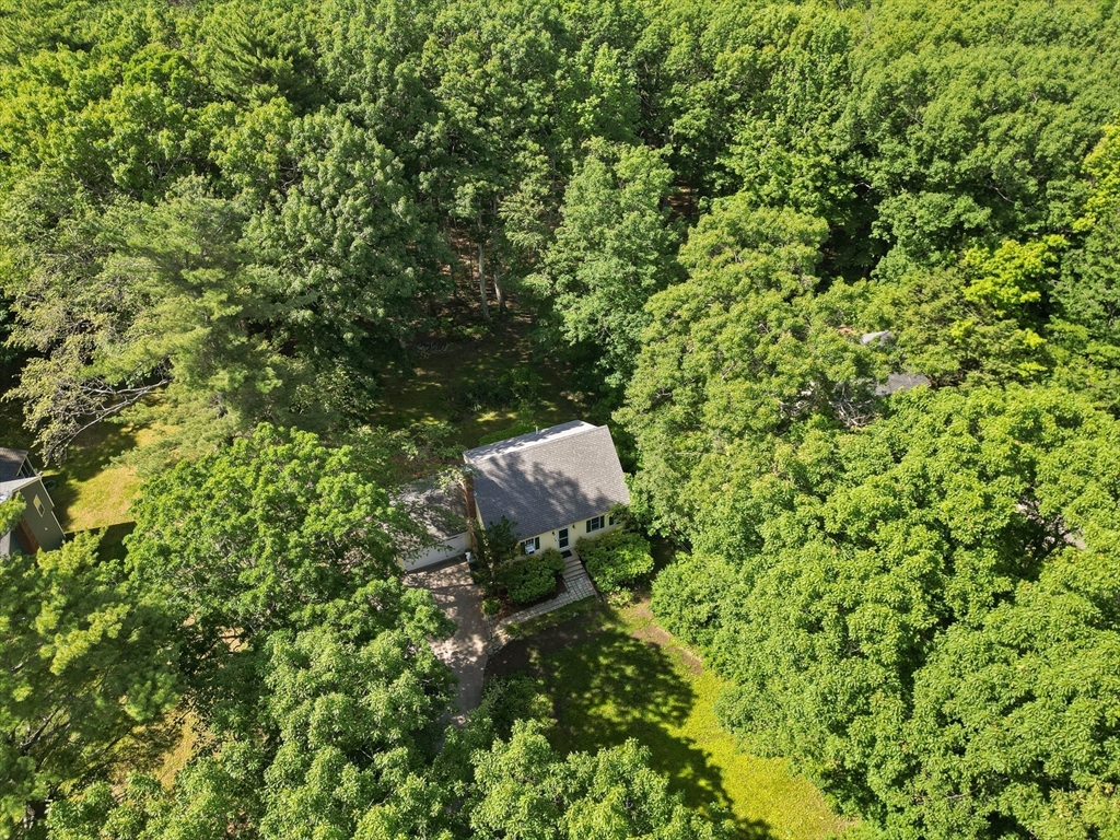 31 Kimball Rd