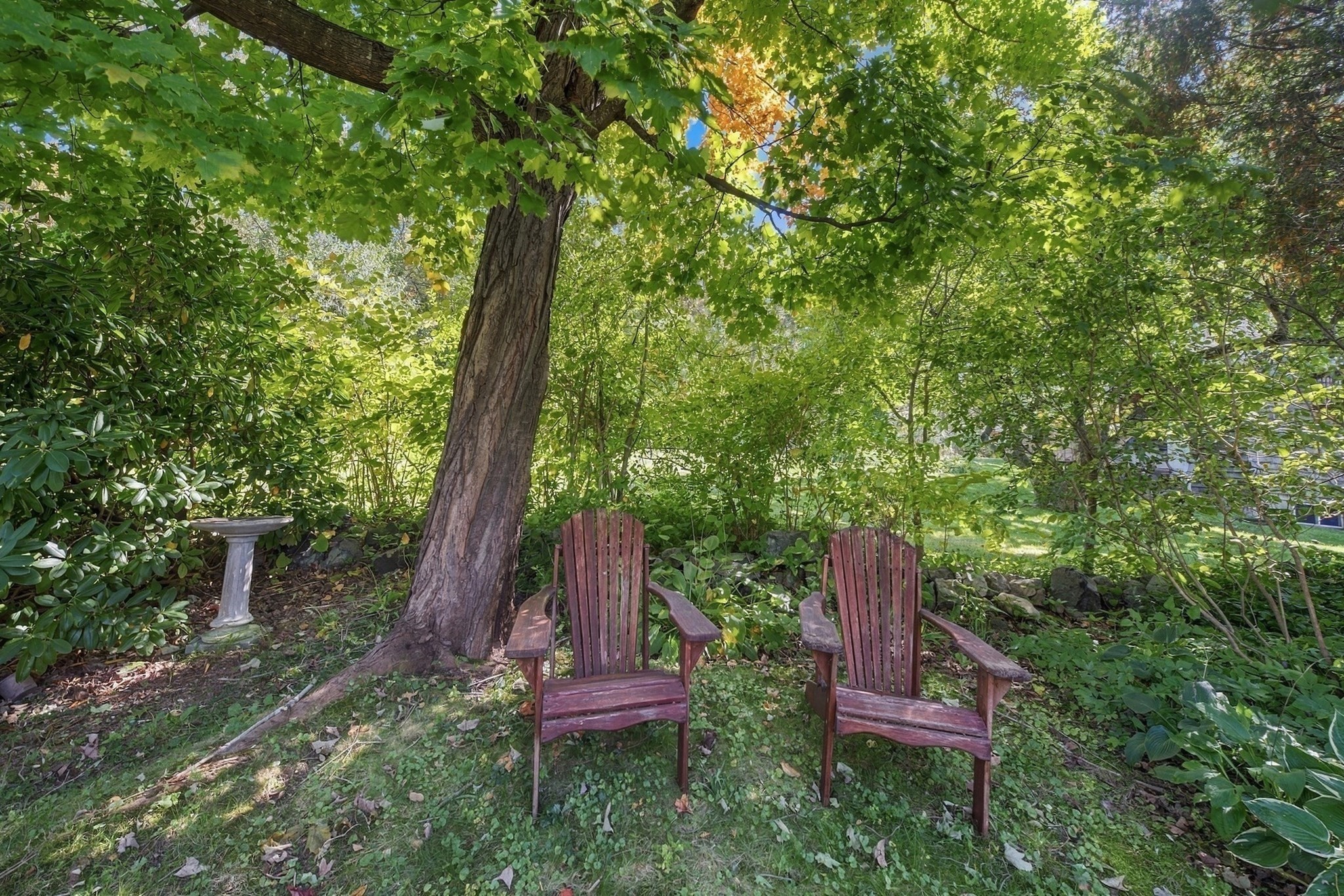 217 Locust St