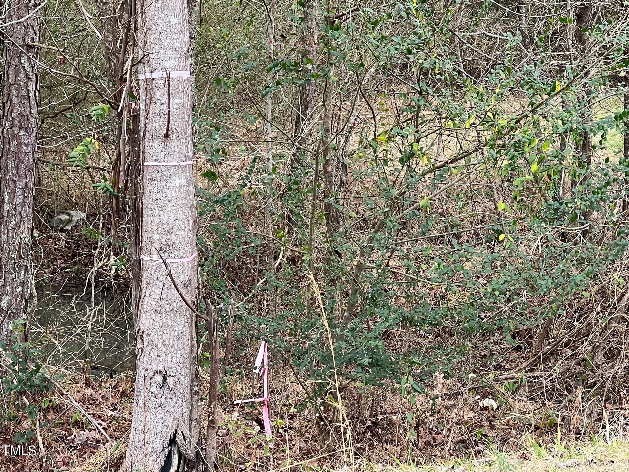 000 Corner Nc 561 Hwy. & Evans Rd.