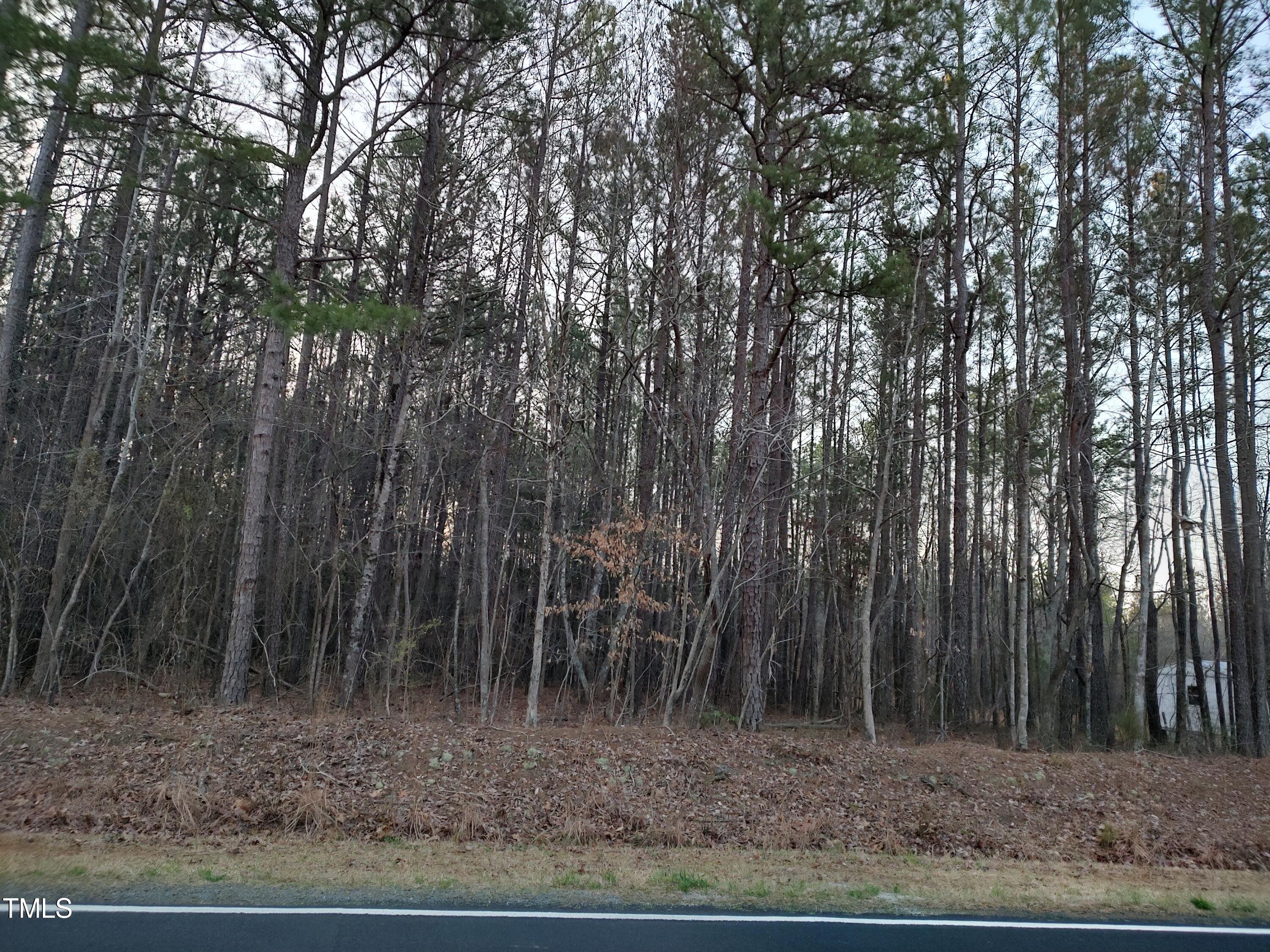 1631 Sr Gum Pond Rd Lt 3