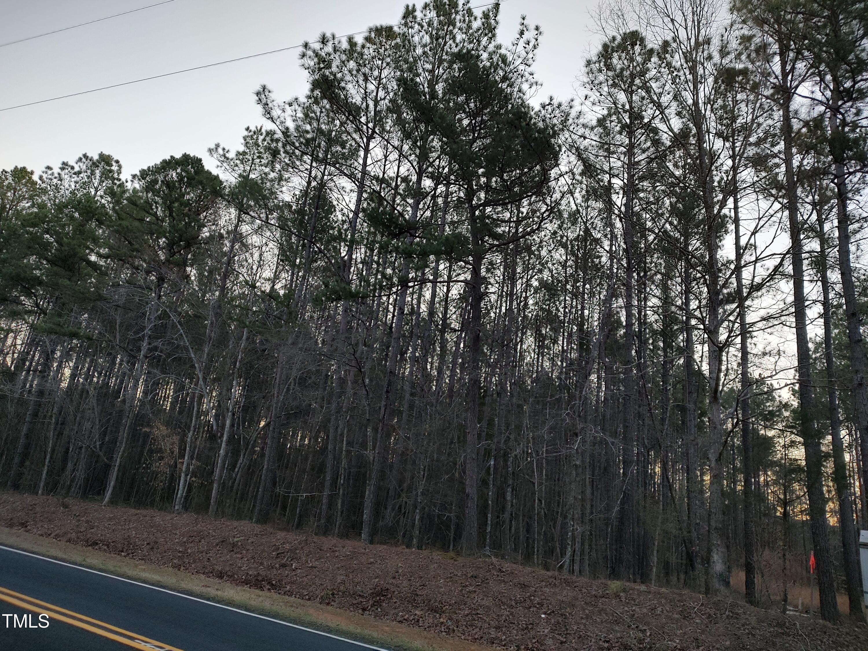 1631 Sr Gum Pond Rd Lt 3