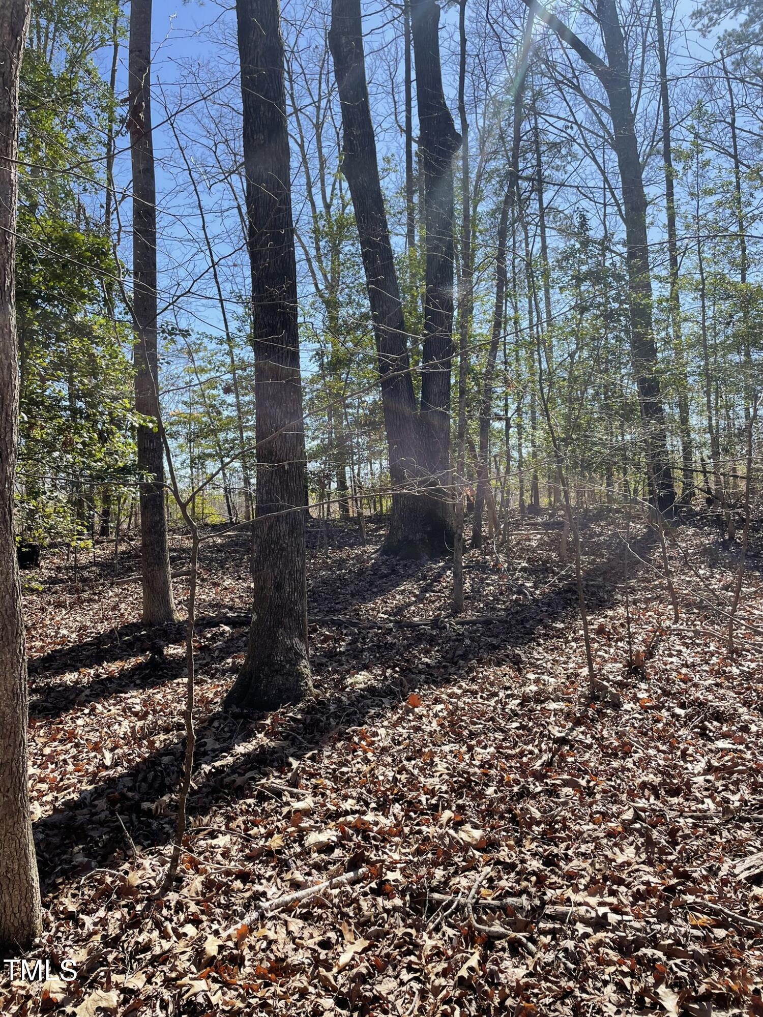 9651 Island Creek Road