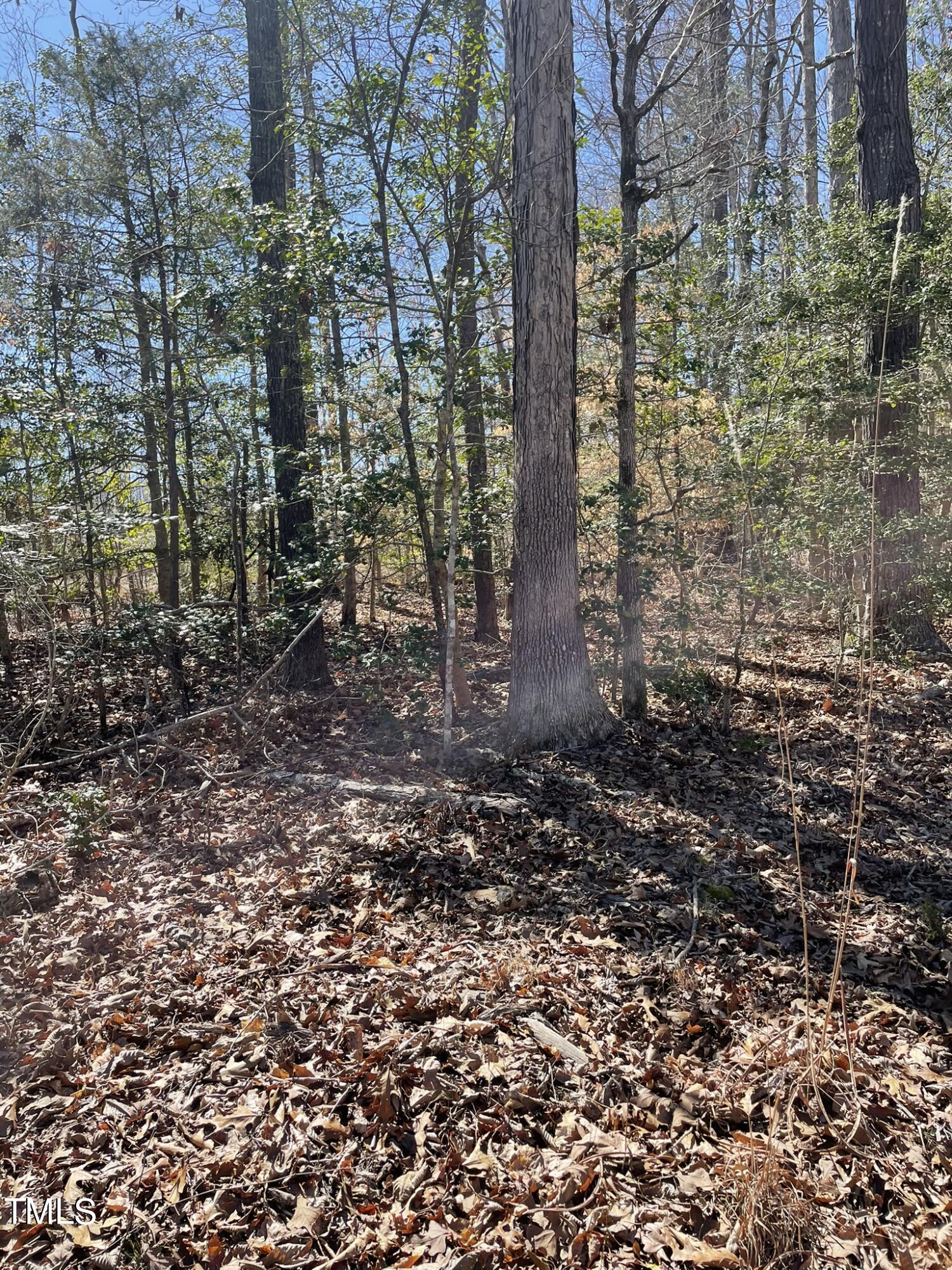 9651 Island Creek Road