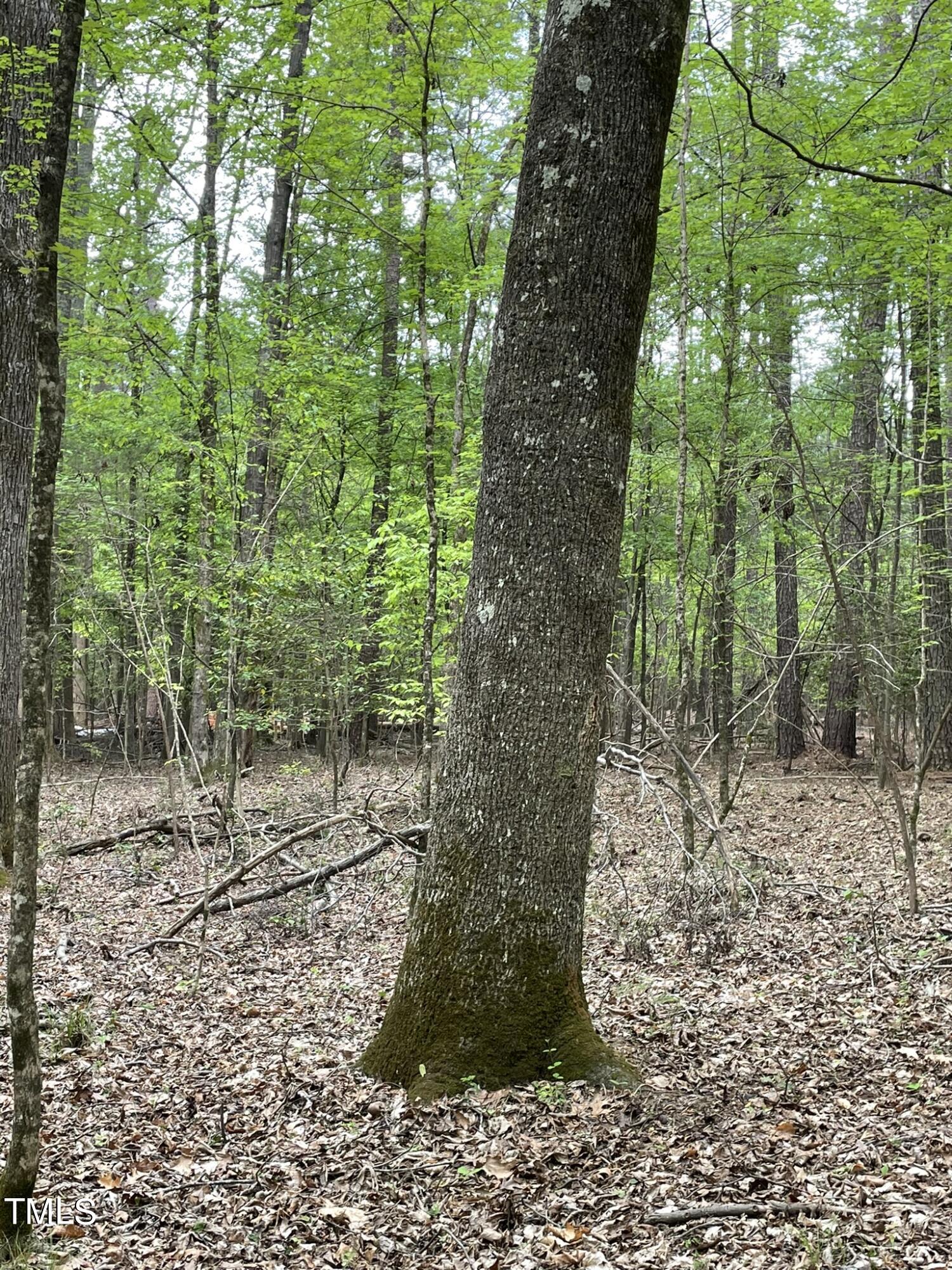 Lot 77 Puddle Stone Lane