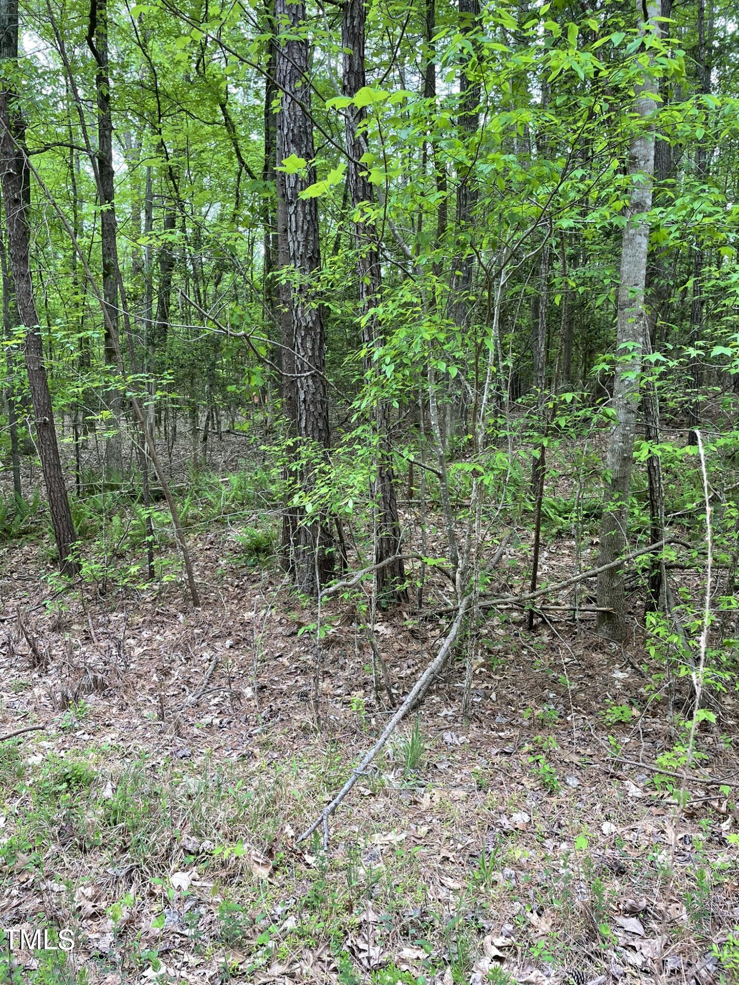 Lot 77 Puddle Stone Lane