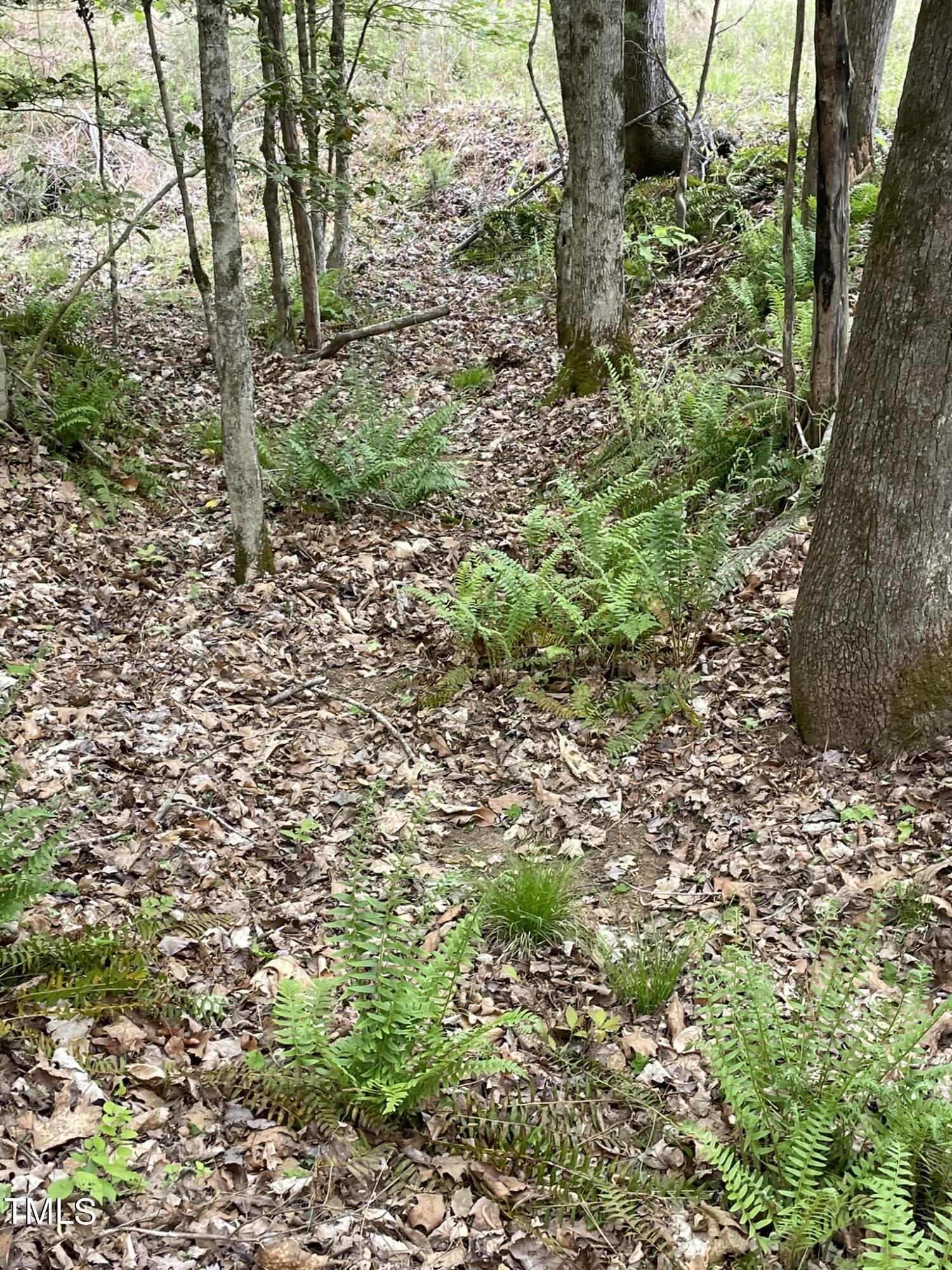 Lot 77 Puddle Stone Lane