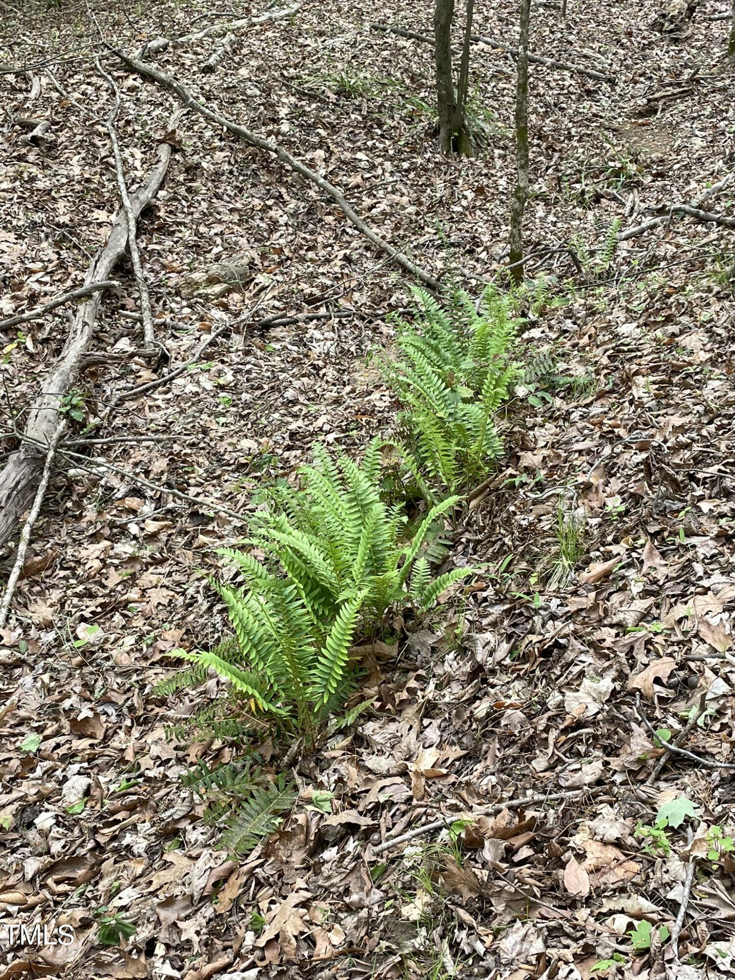 Lot 77 Puddle Stone Lane