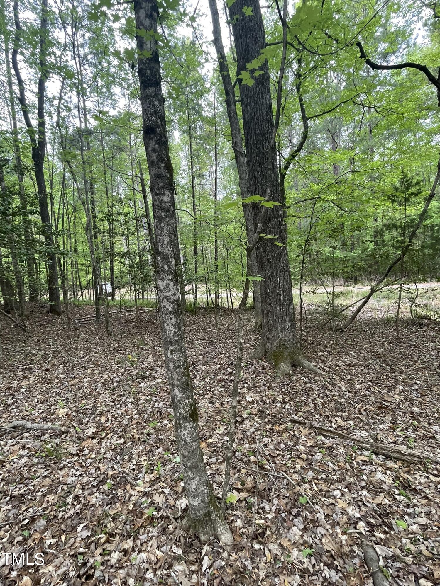 Lot 77 Puddle Stone Lane