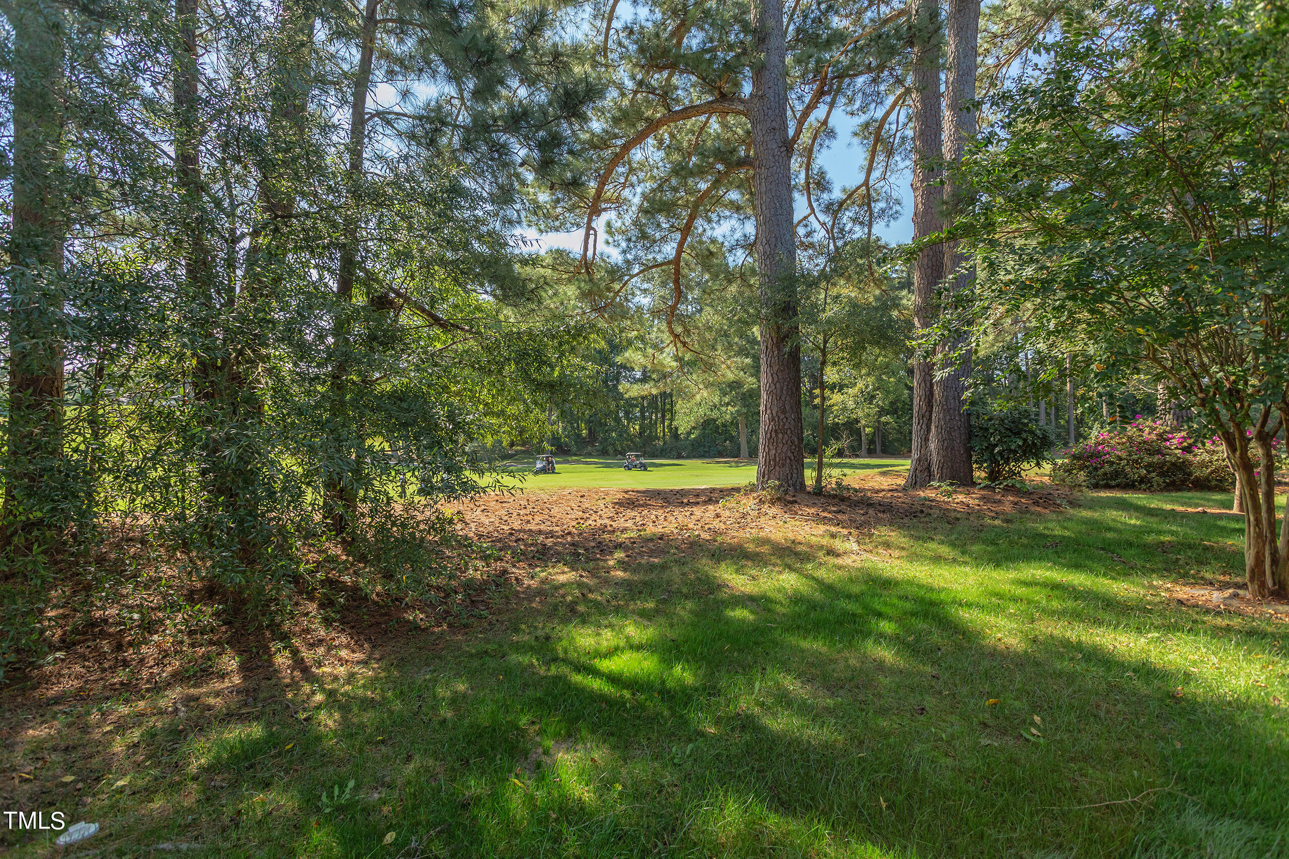 1015 Loch Lomond Drive