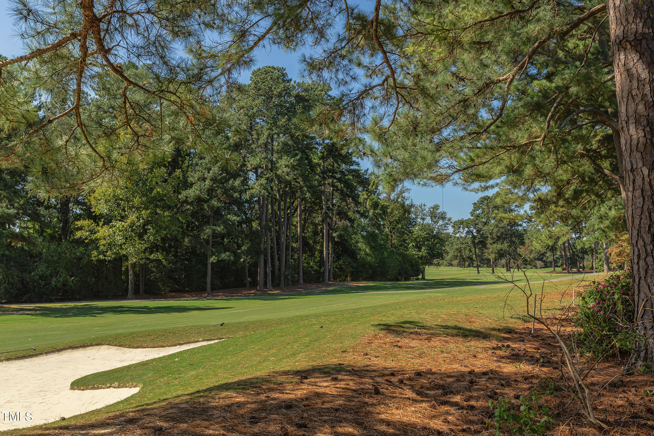 1015 Loch Lomond Drive