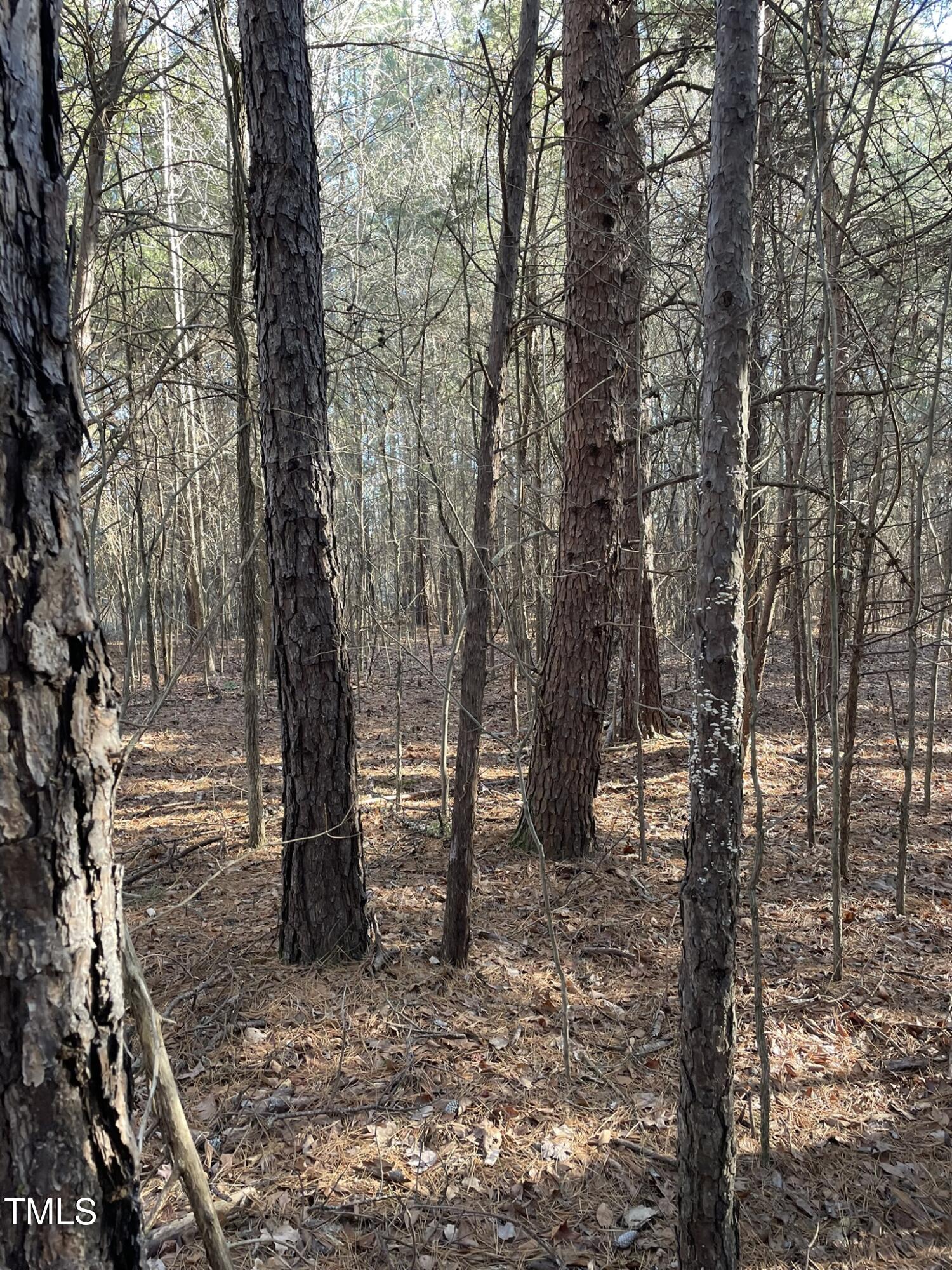 1.65 Ac Highway 15 N