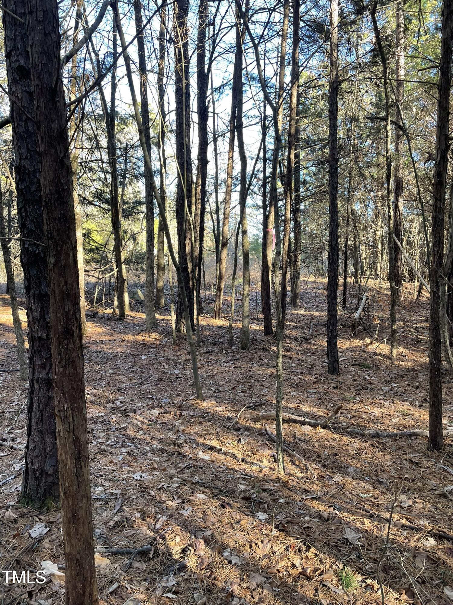 1.65 Ac Highway 15 N