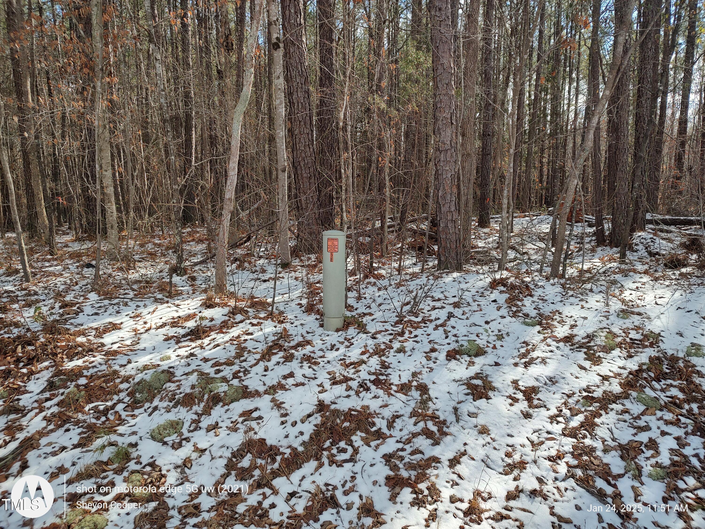 1631 Sr. Gum Pond Rd, Lot 3