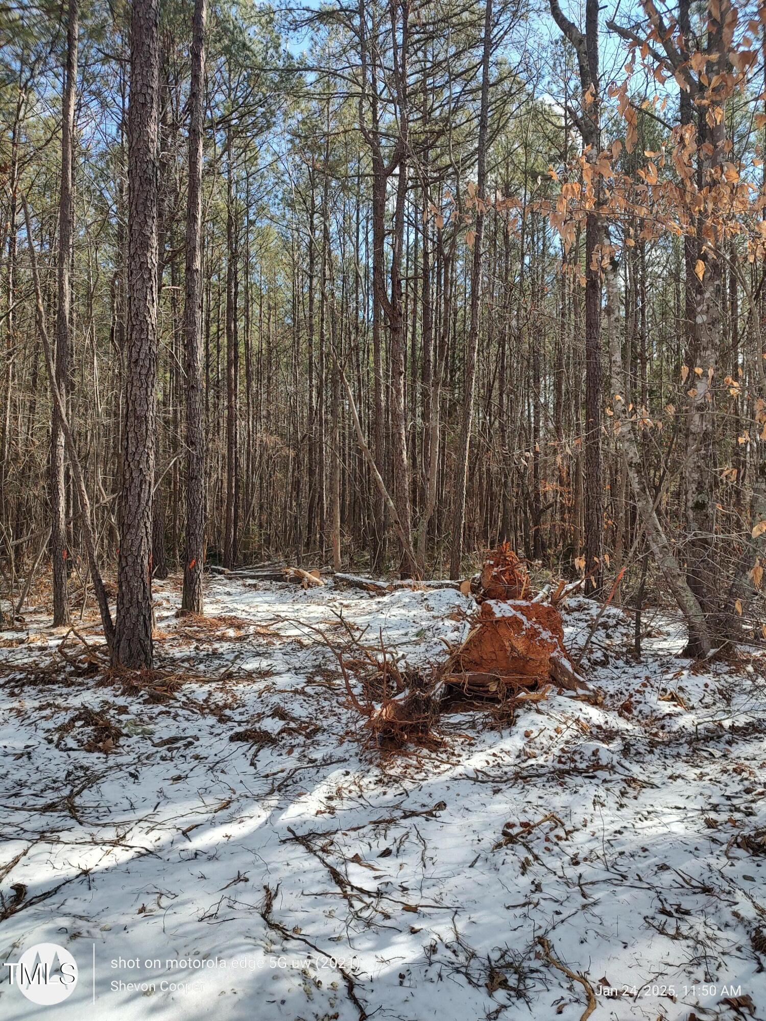 1631 Sr. Gum Pond Rd, Lot 3