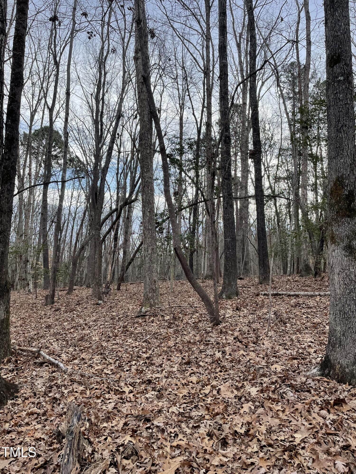 130 Eagle'S Rest Drive